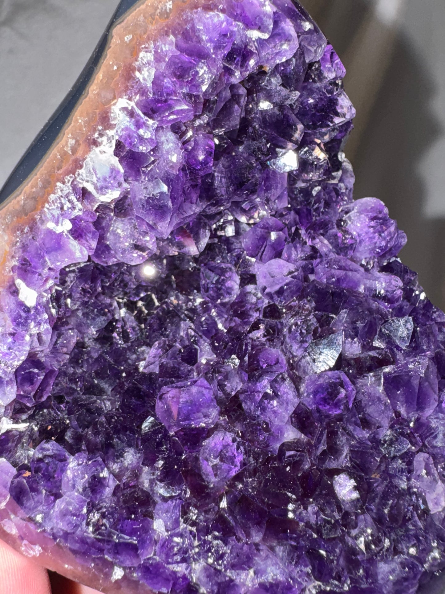 Uruguay Amethyst Large Freeform