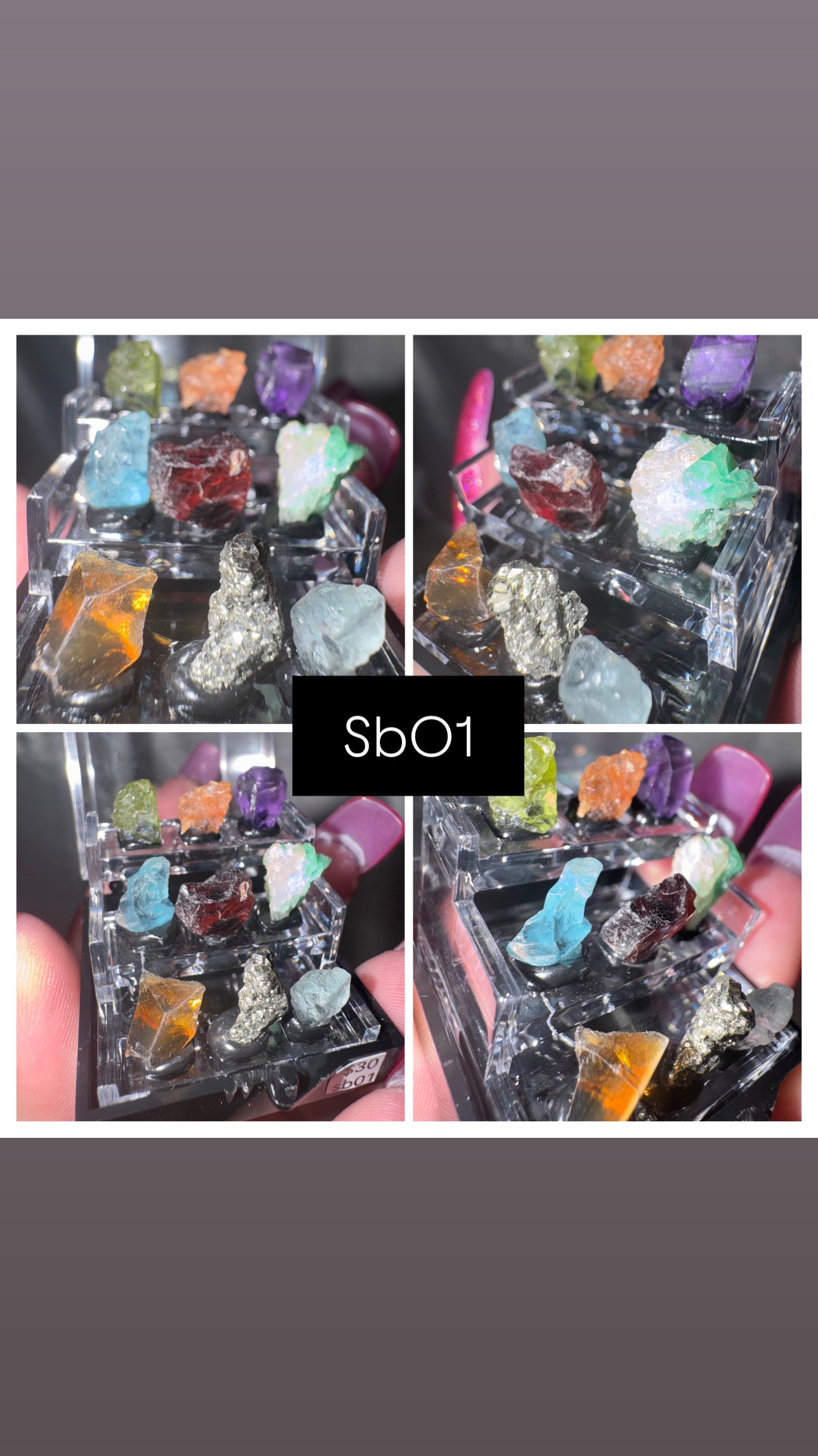 Thumbnail Specimen Boxes