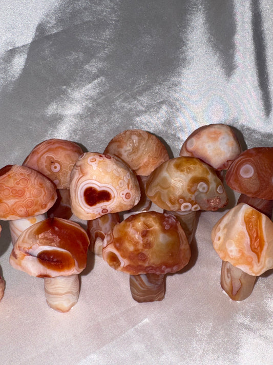 Gobi Desert Agate Mushroom