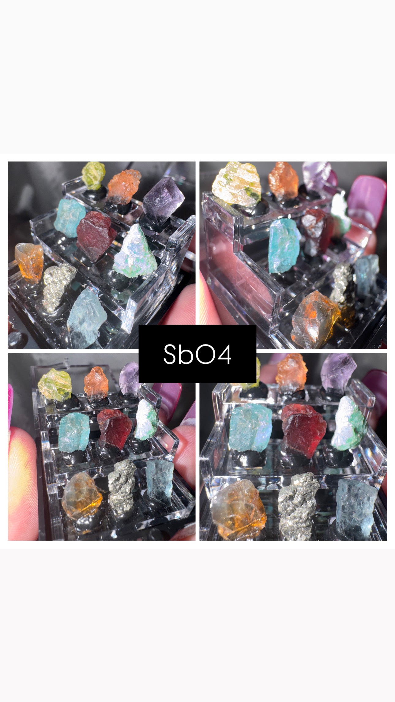 Thumbnail Specimen Boxes