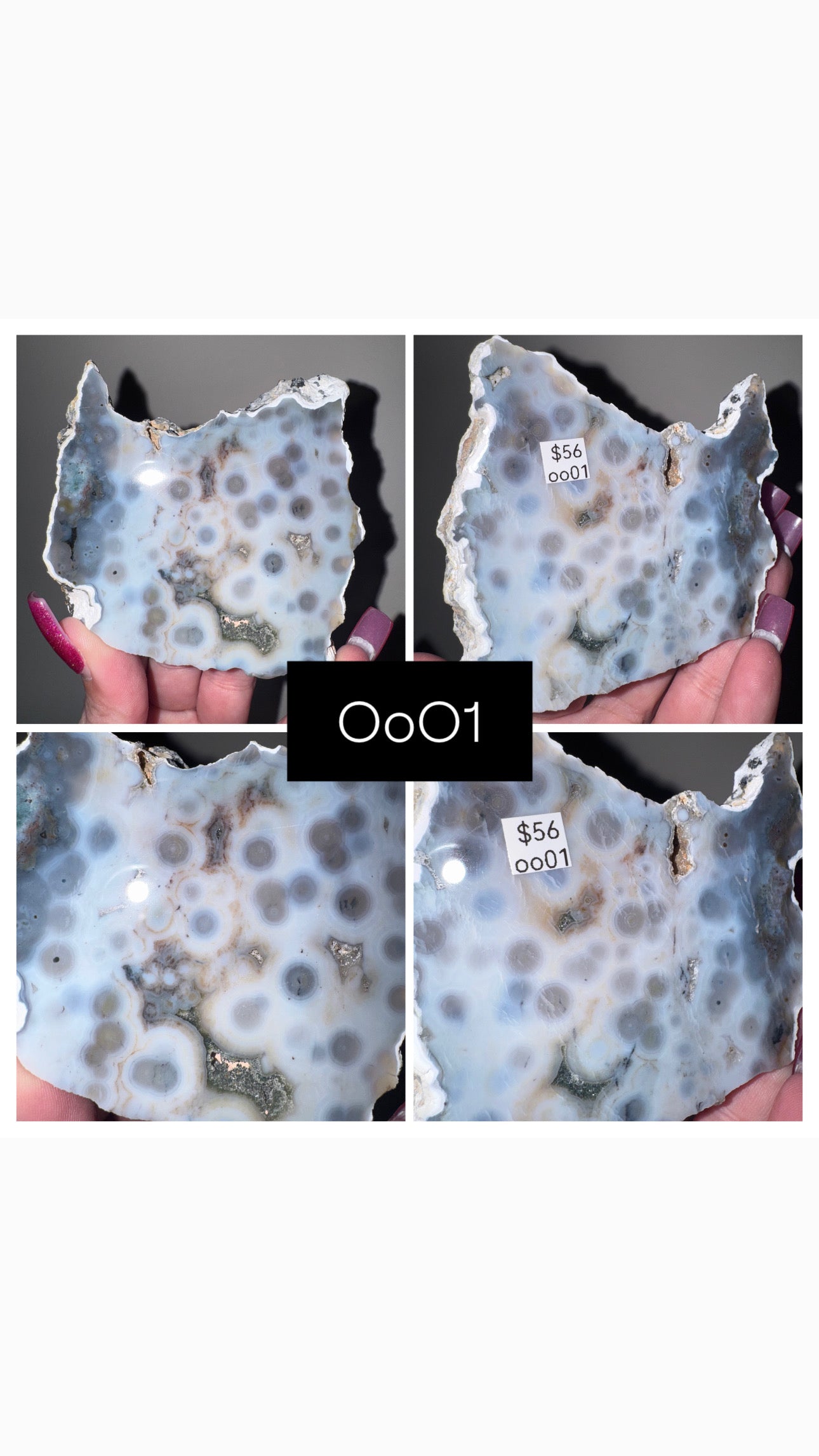 Blue Orbicular Ocean Jasper Slab