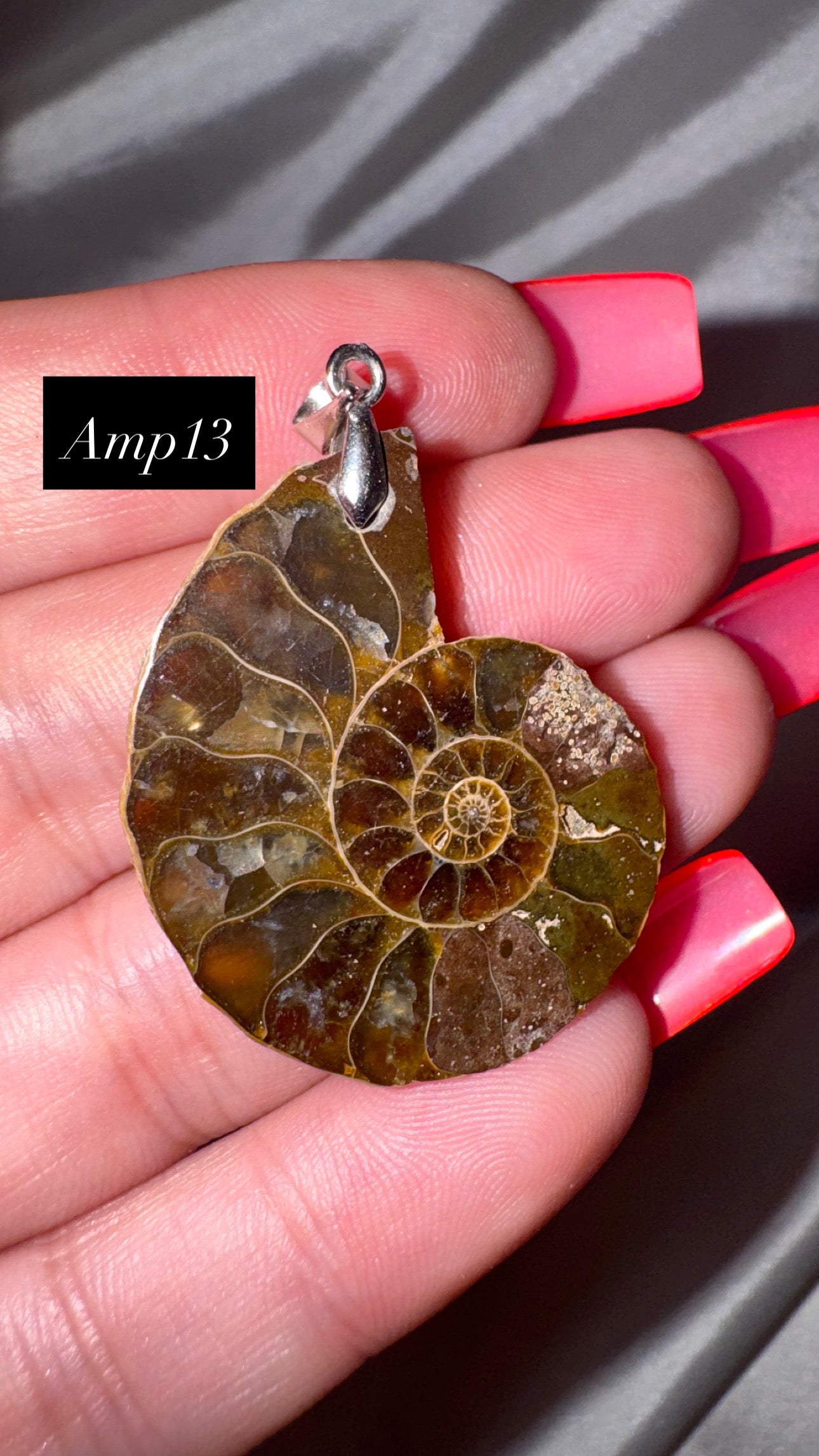 Ammonite Pendant