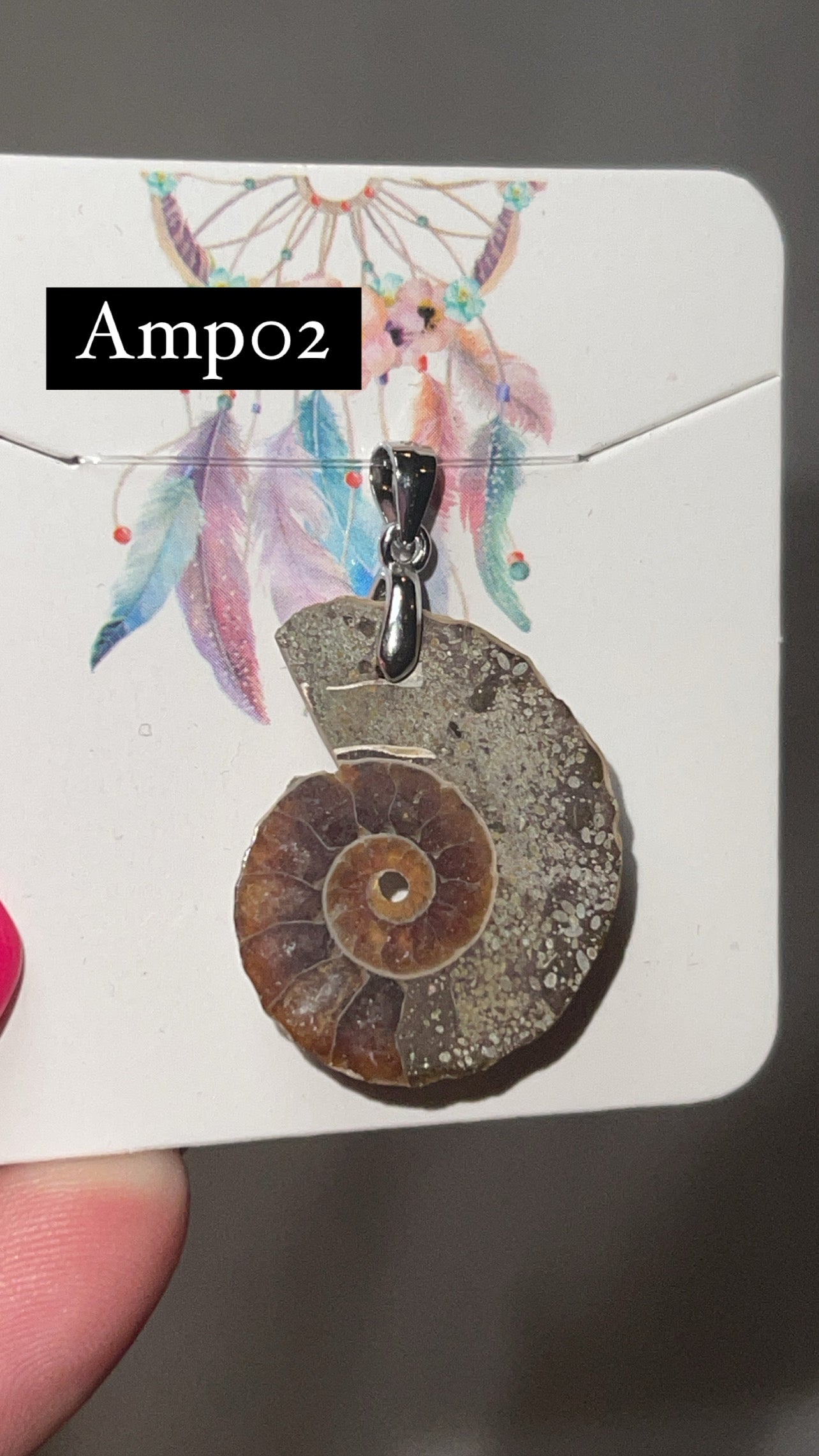 Ammonite Pendant (Choose Your Own)