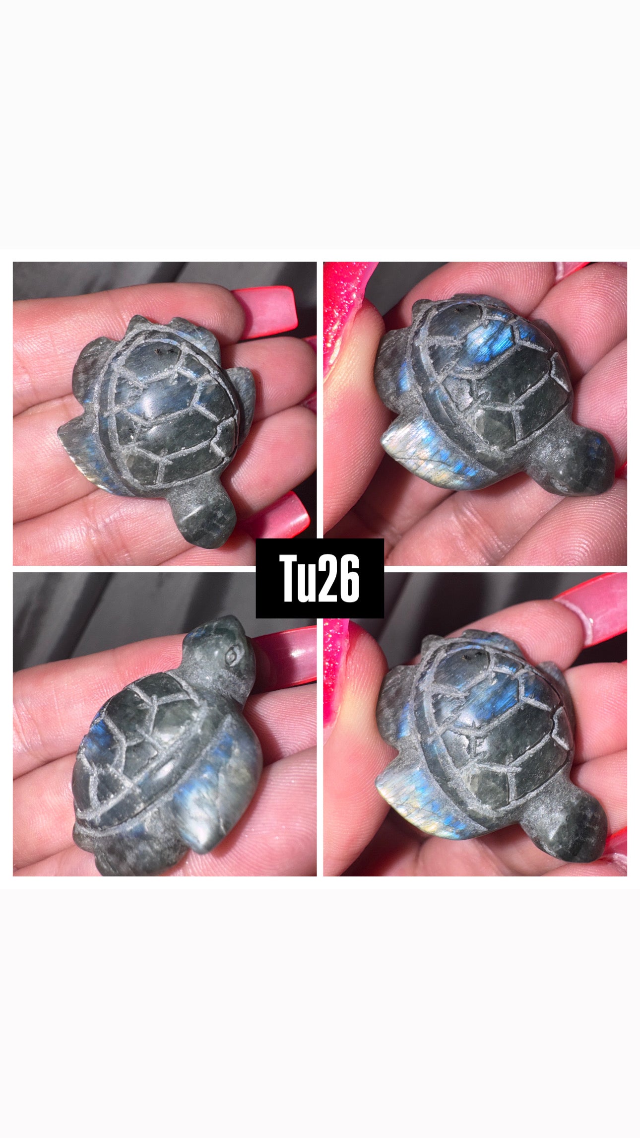 Labradorite Sea Turtle