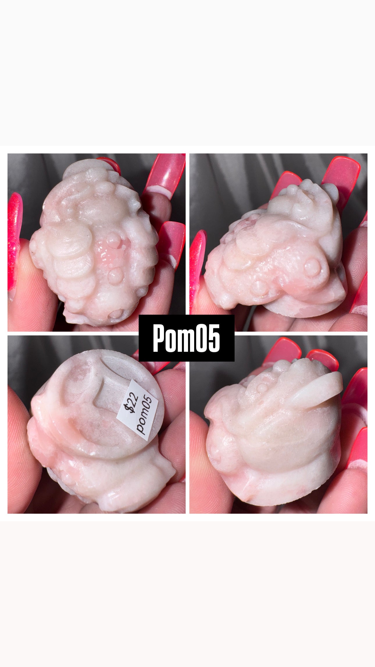 Pink Opal Money Frog