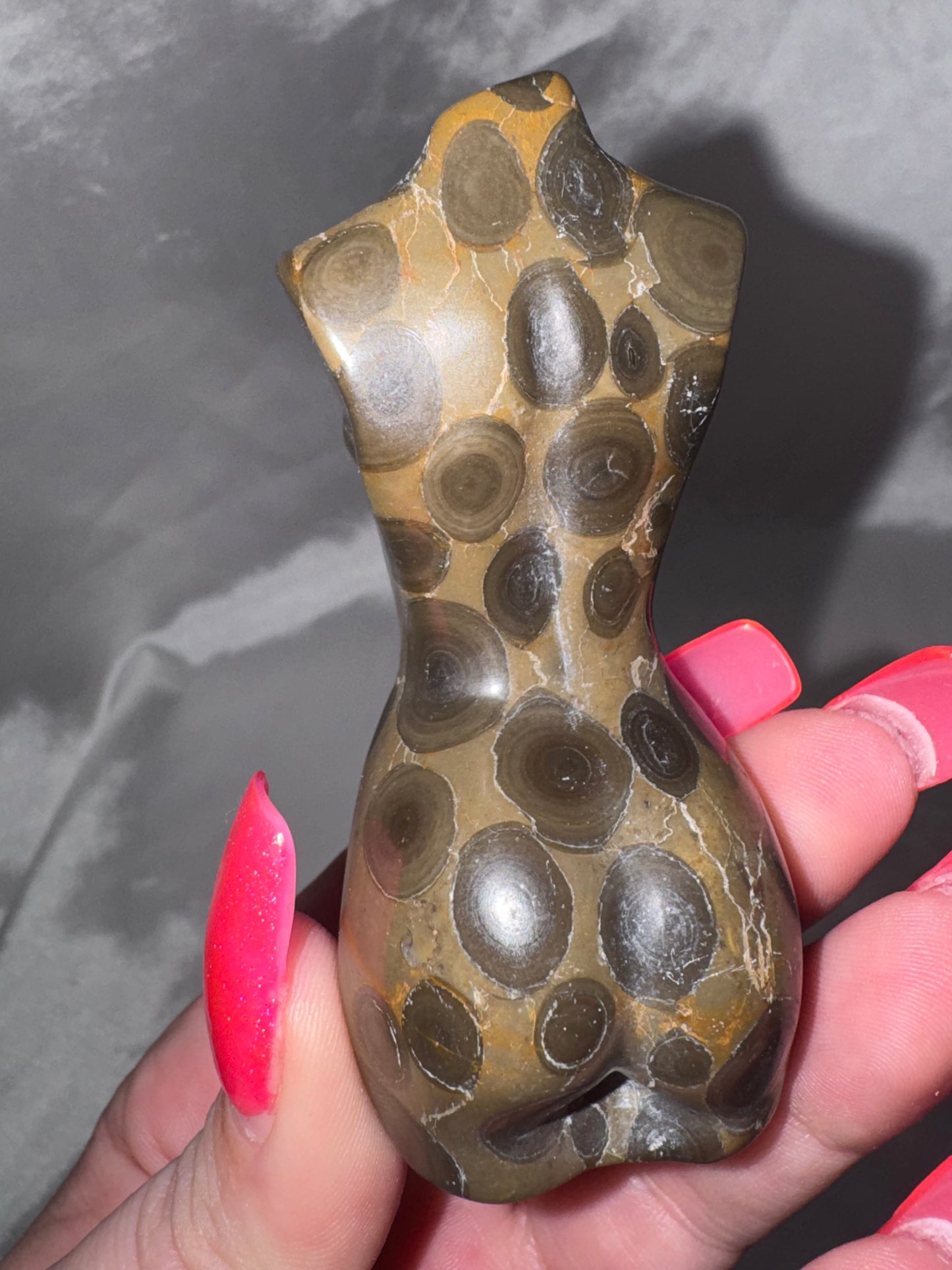 “Money” Jasper Large Goddess Body (last one!)