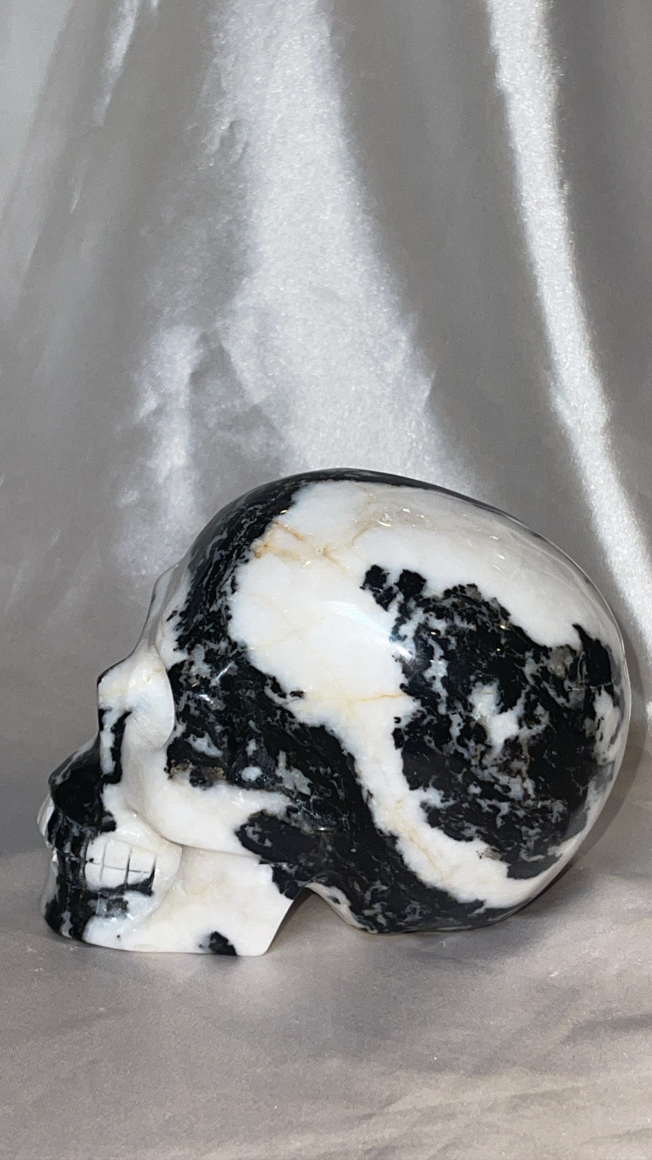 Zebra Jasper XL Skull