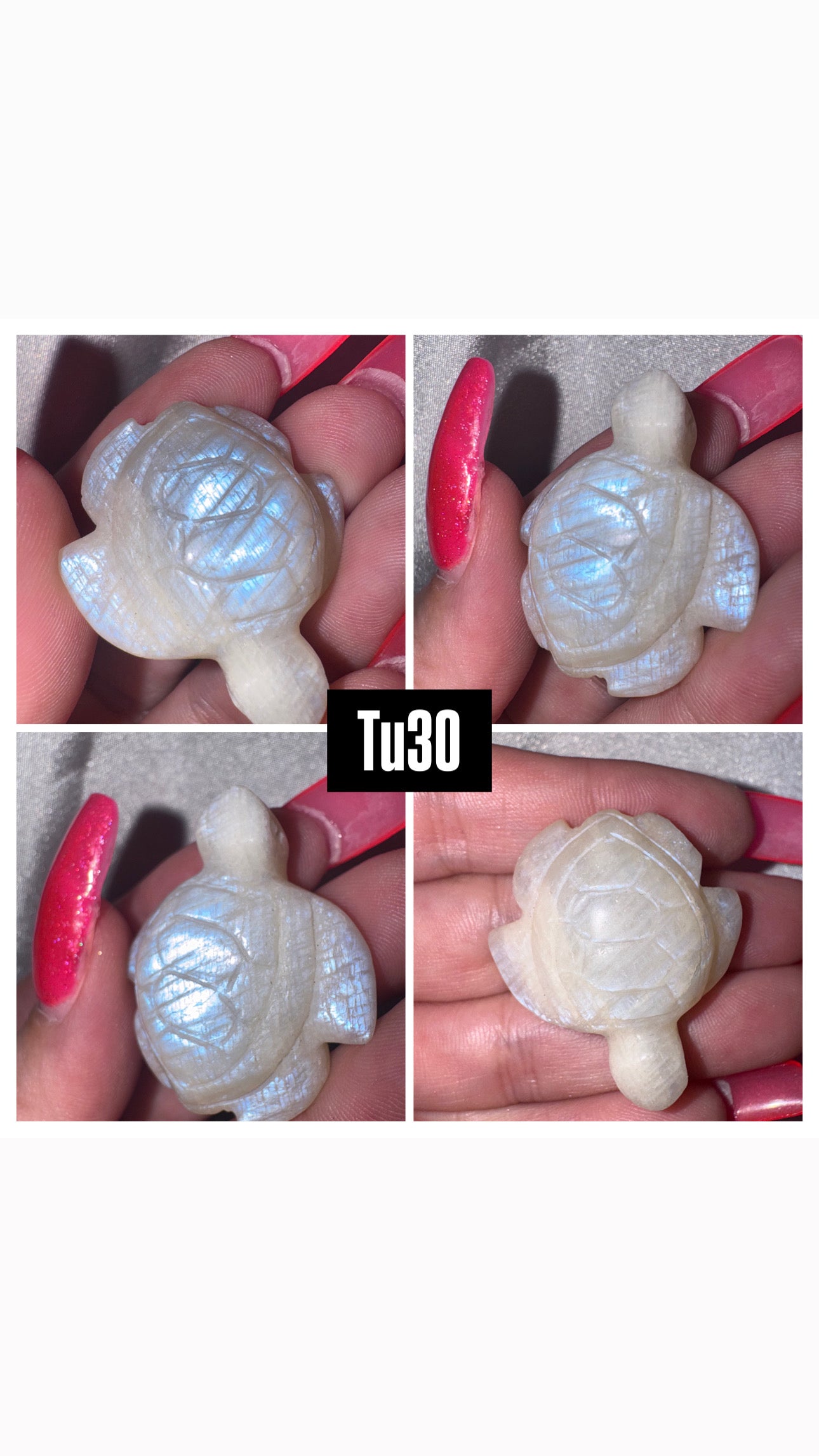 Moonstone Sea Turtle