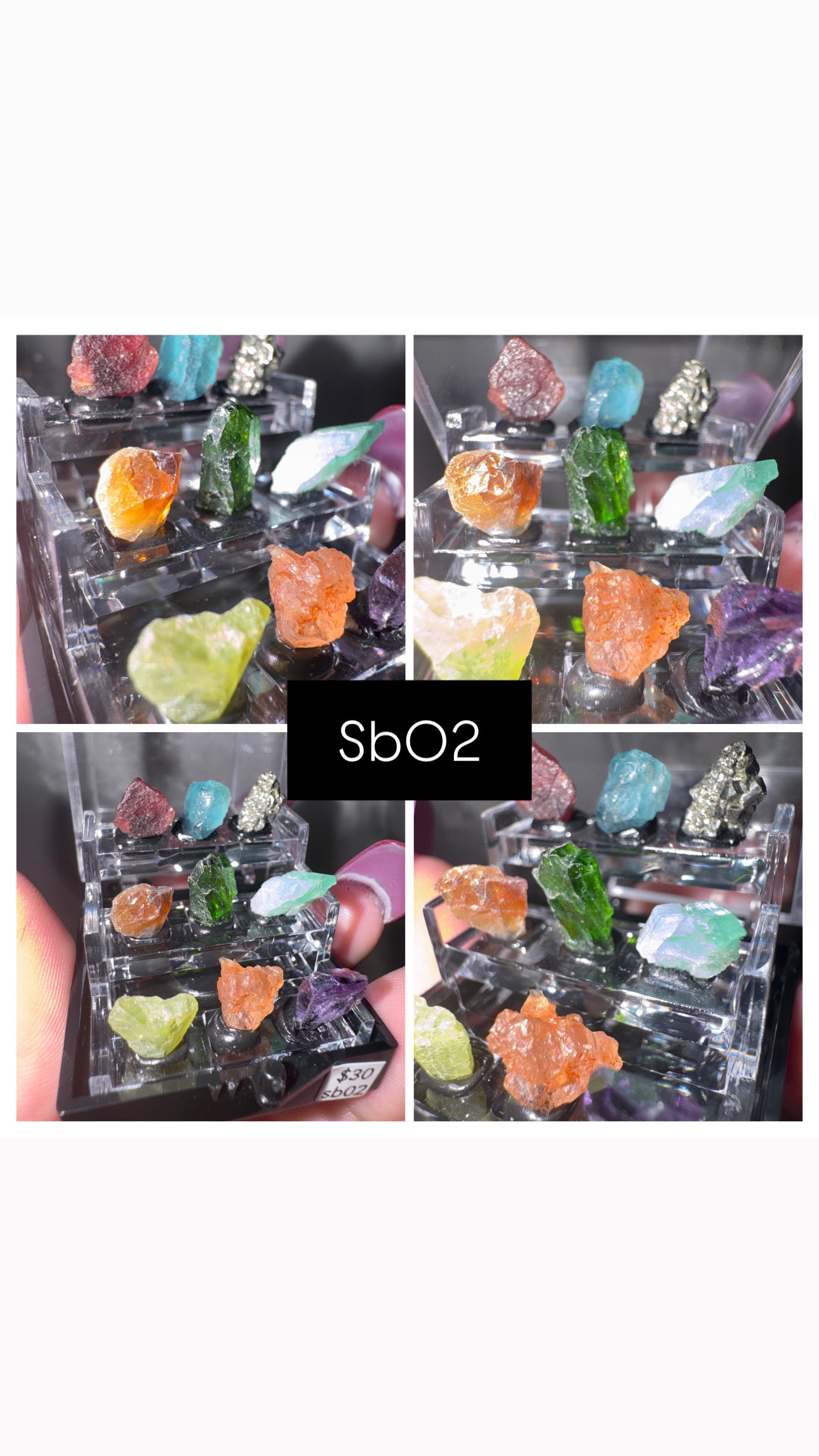 Thumbnail Specimen Boxes