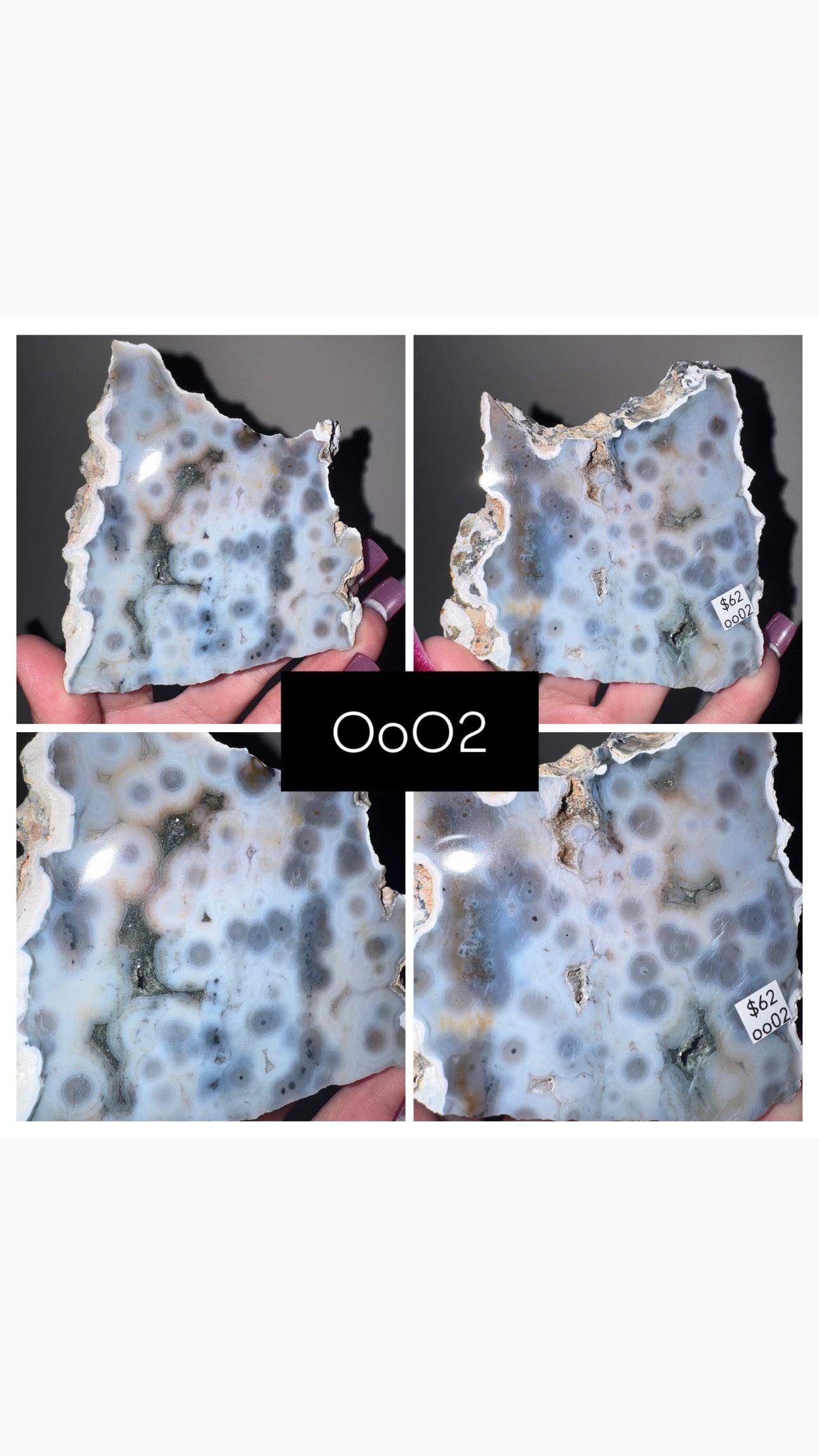 Blue Orbicular Ocean Jasper Slab