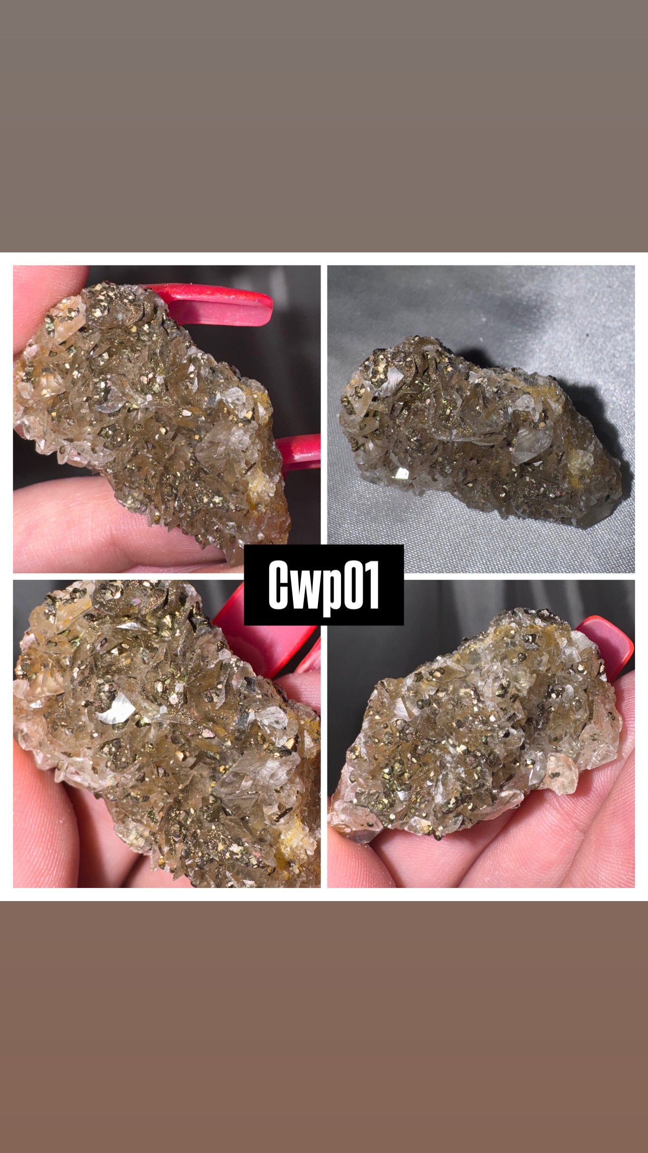 Chocolate Calcite with Pyrite AAA Specimen
