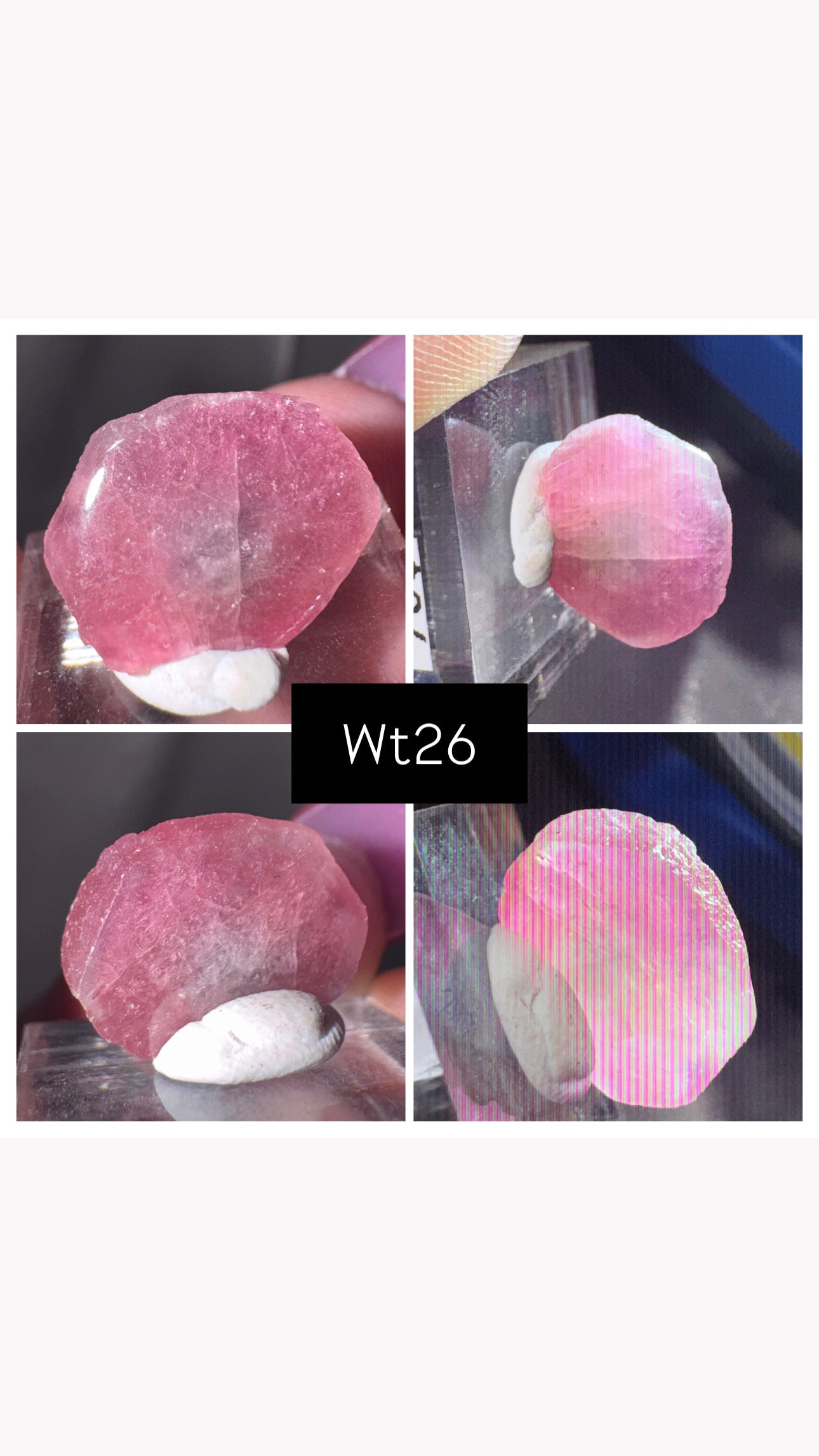 Watermelon Tourmaline Slice