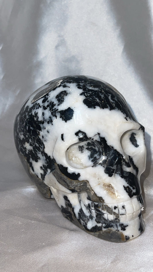 Zebra Jasper XL Skull