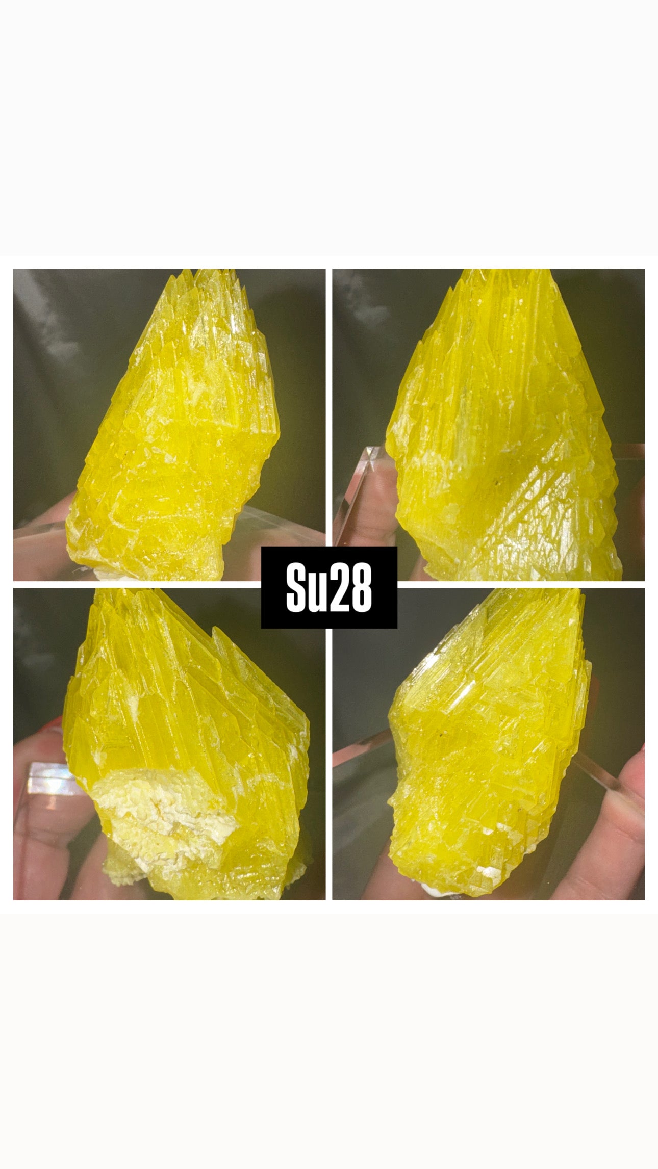 Sulphur Crystal