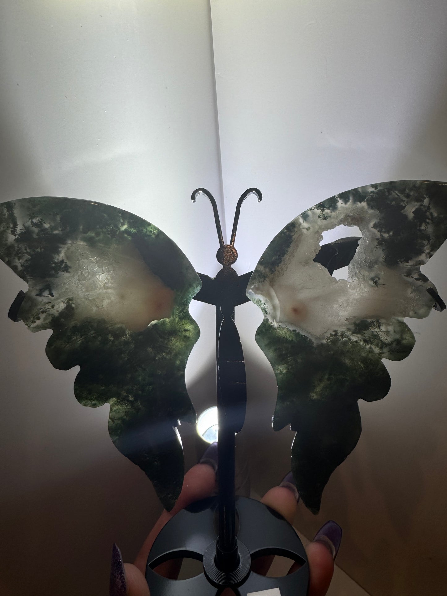 Moss Agate Large Butterfly on Stand