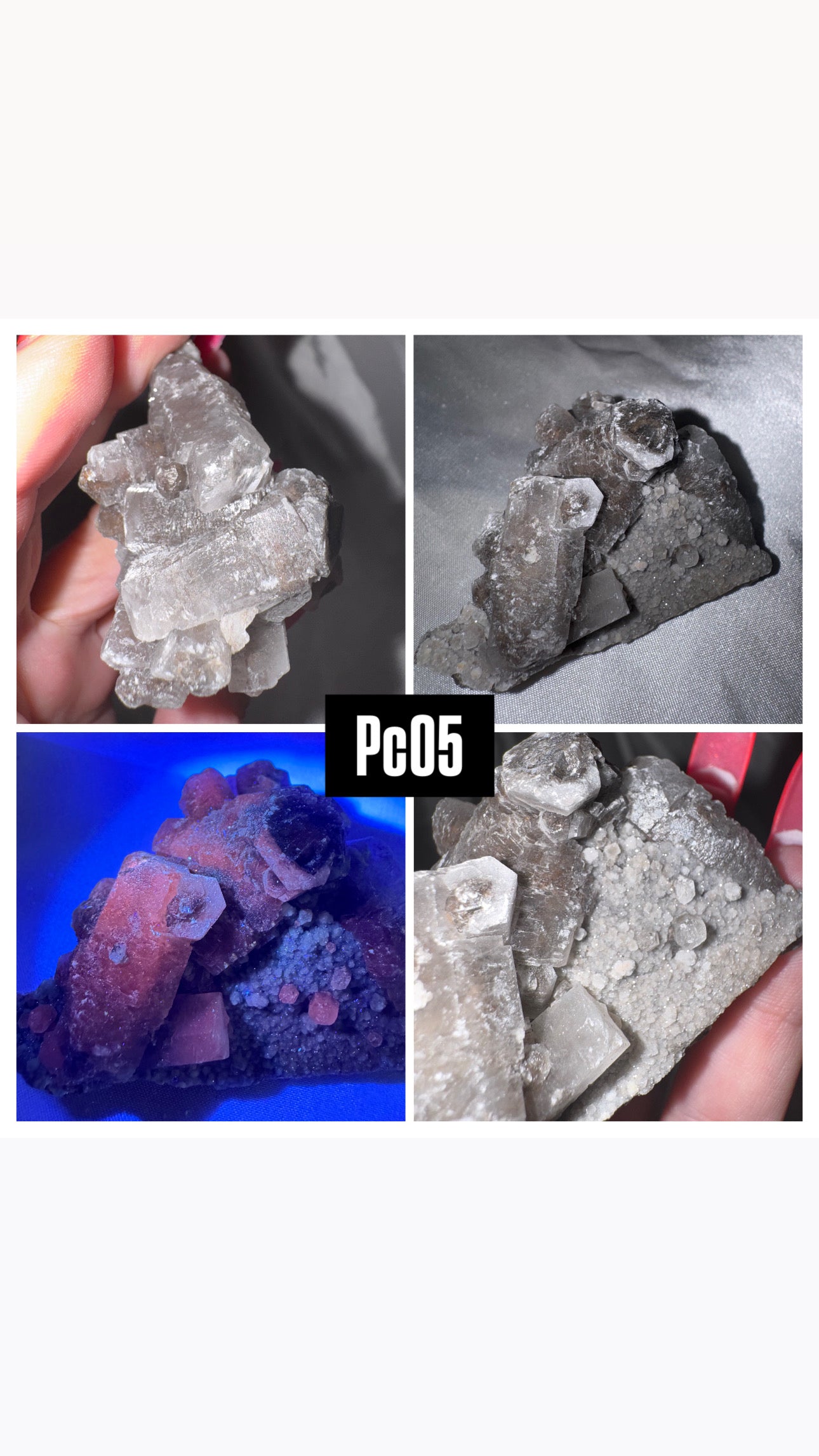 Panda Barrel Calcite- UV Reactive!