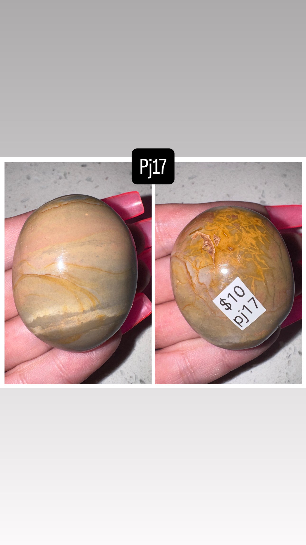 Polychrome Jasper Palmstone