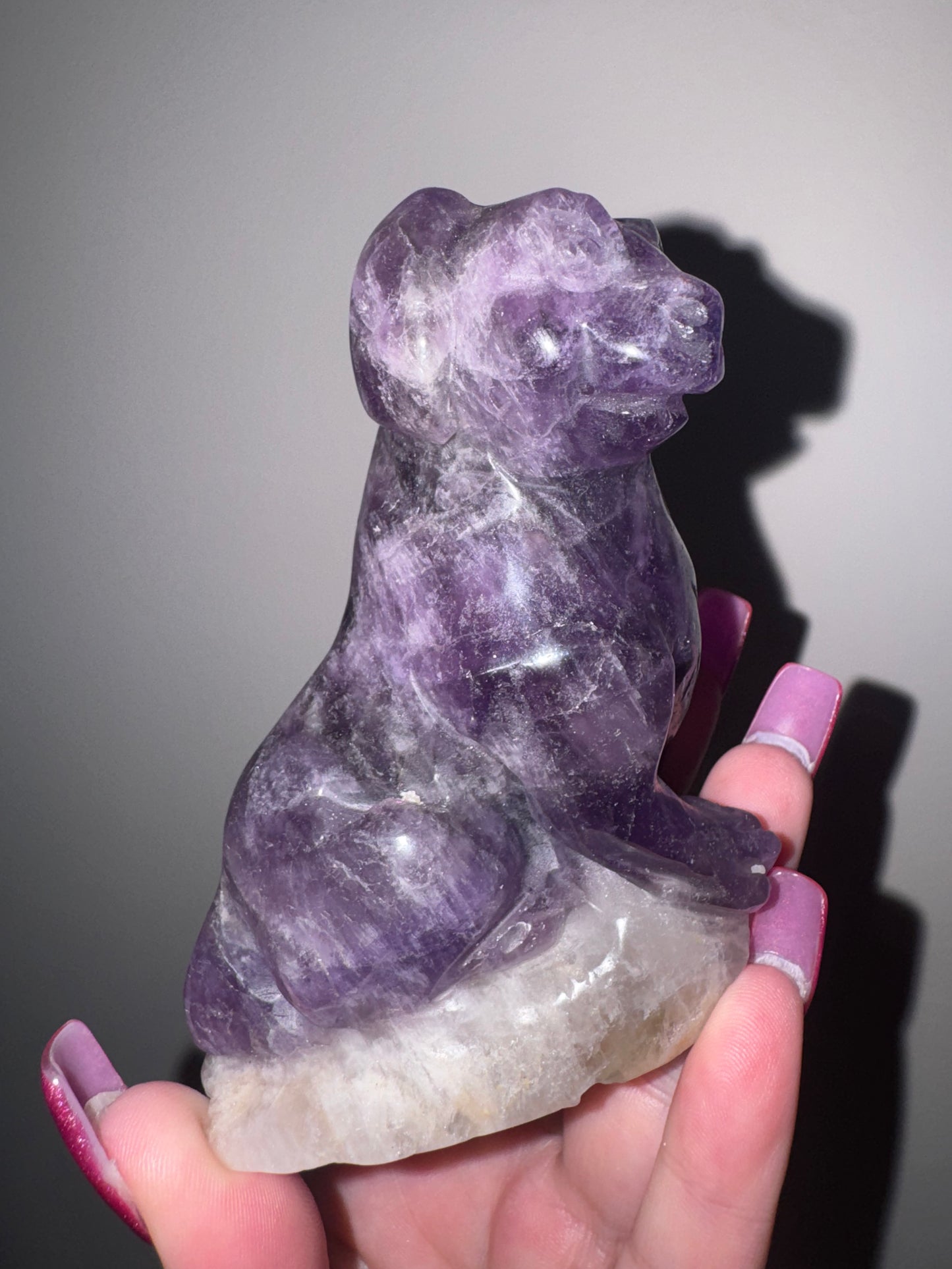 Amethyst Large Dog