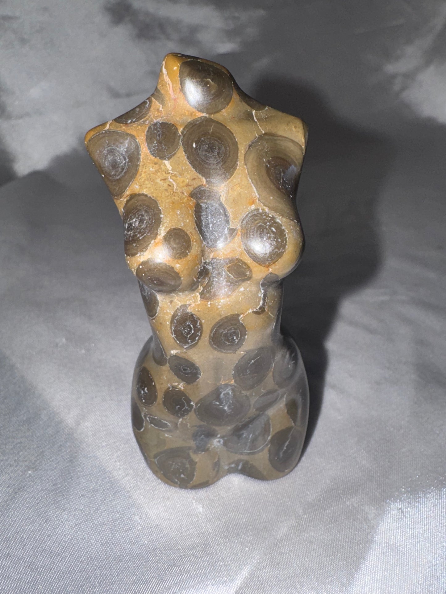 “Money” Jasper Large Goddess Body (last one!)