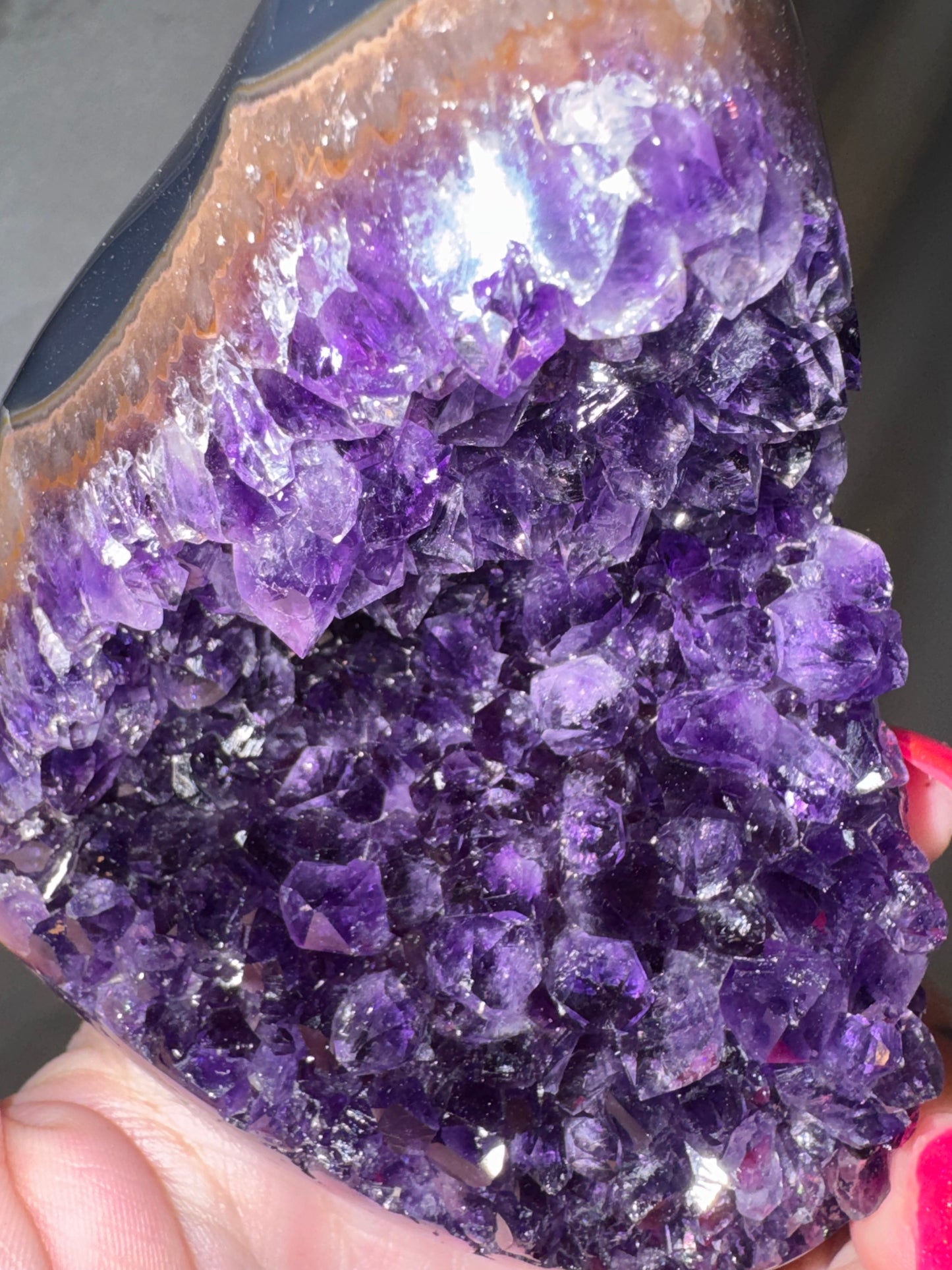 Uruguay Amethyst Large Freeform