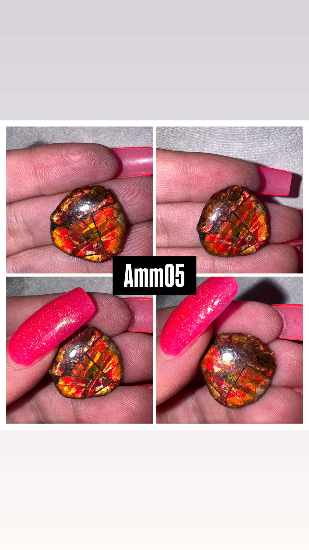 Ammolite Rare