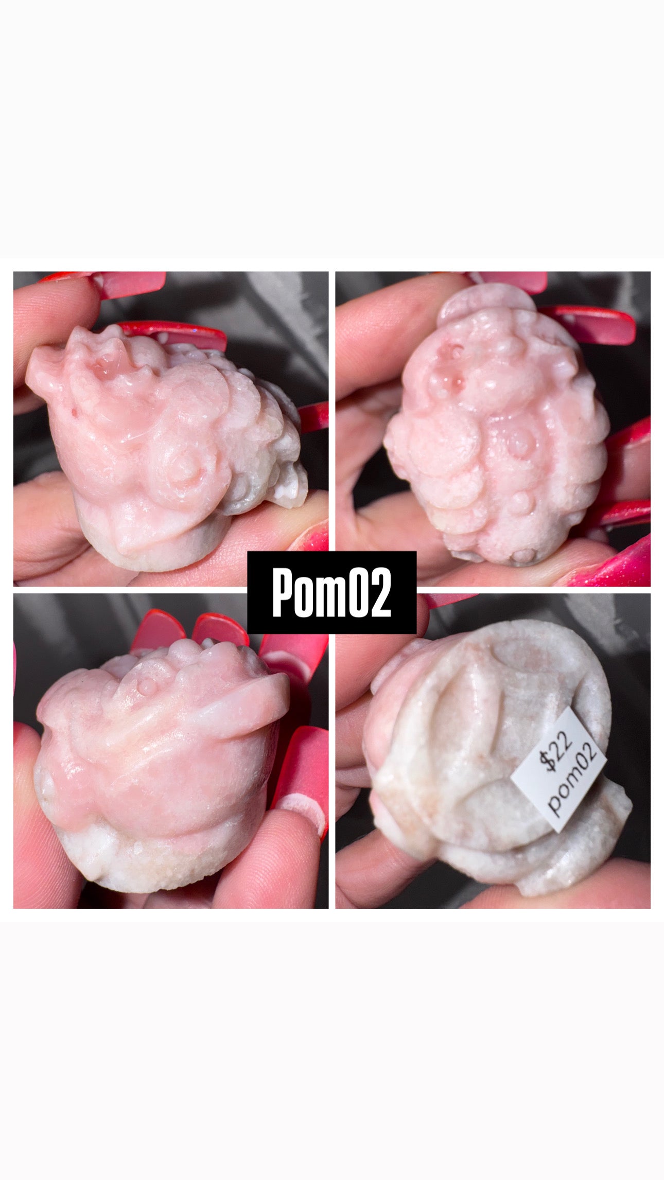 Pink Opal Money Frog