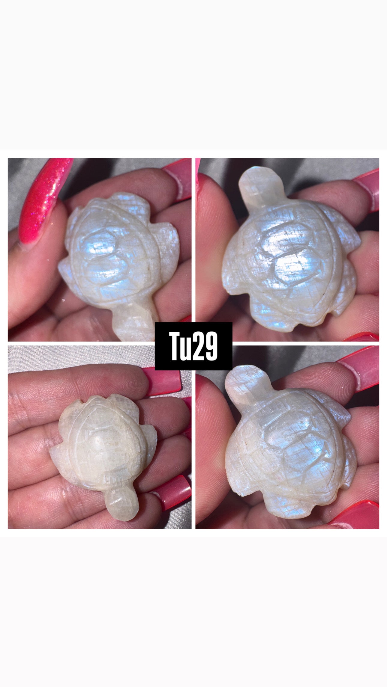 Moonstone Sea Turtle