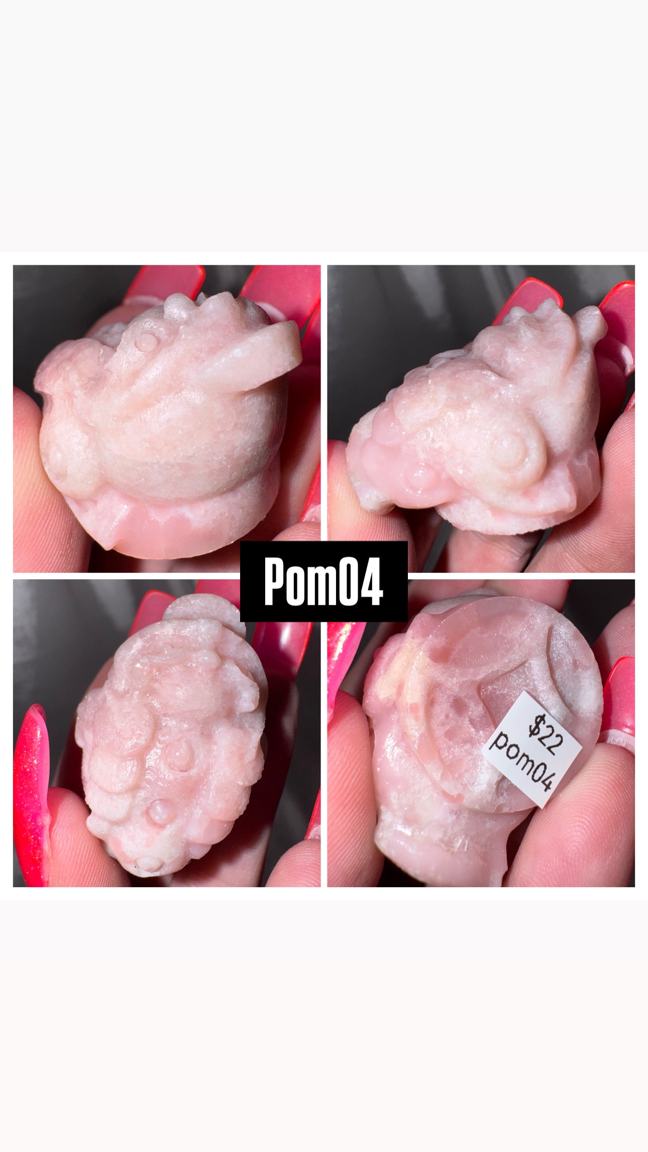 Pink Opal Money Frog