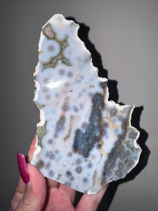 Blue Orbicular Ocean Jasper Slab