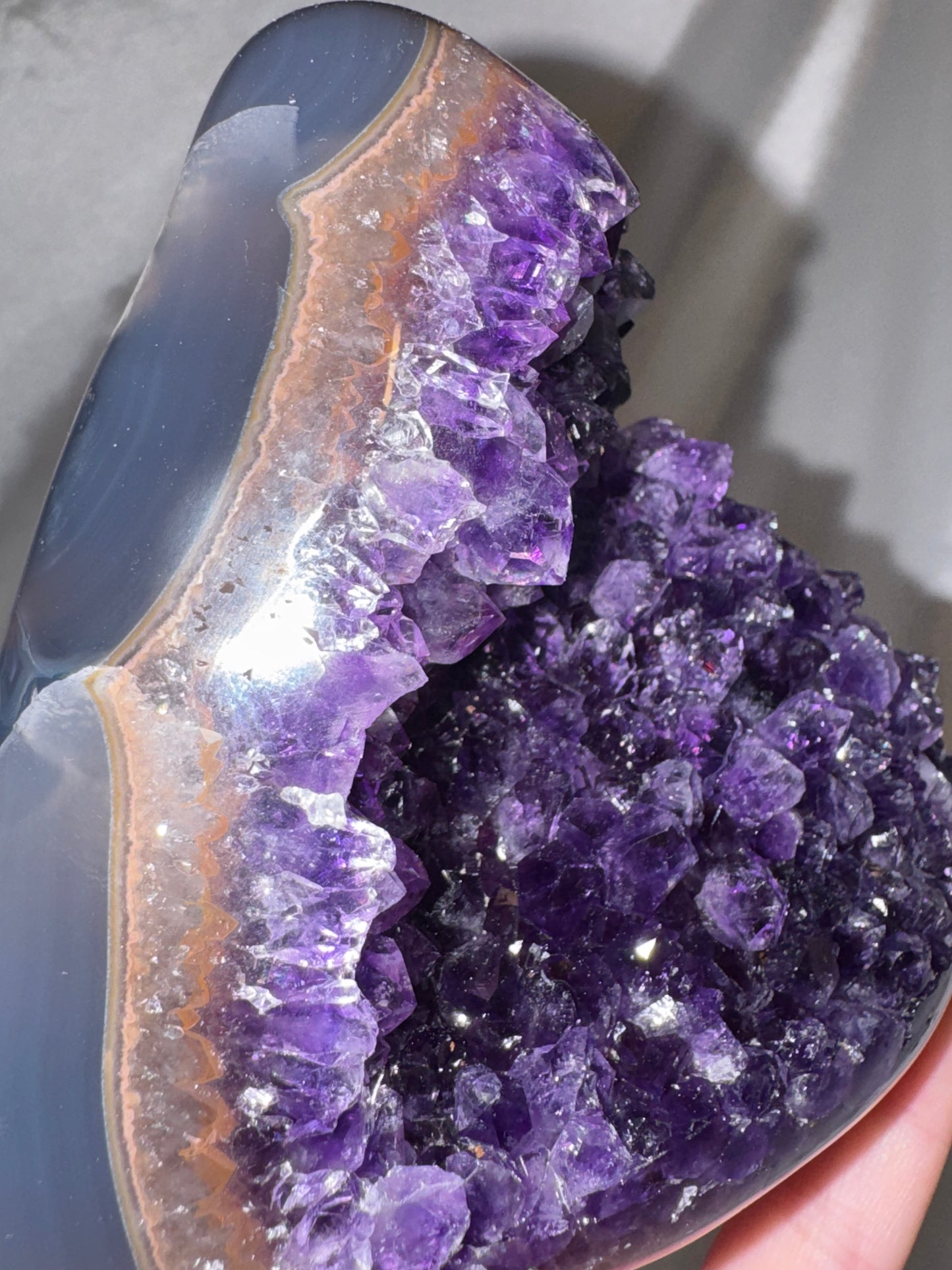 Uruguay Amethyst Large Freeform