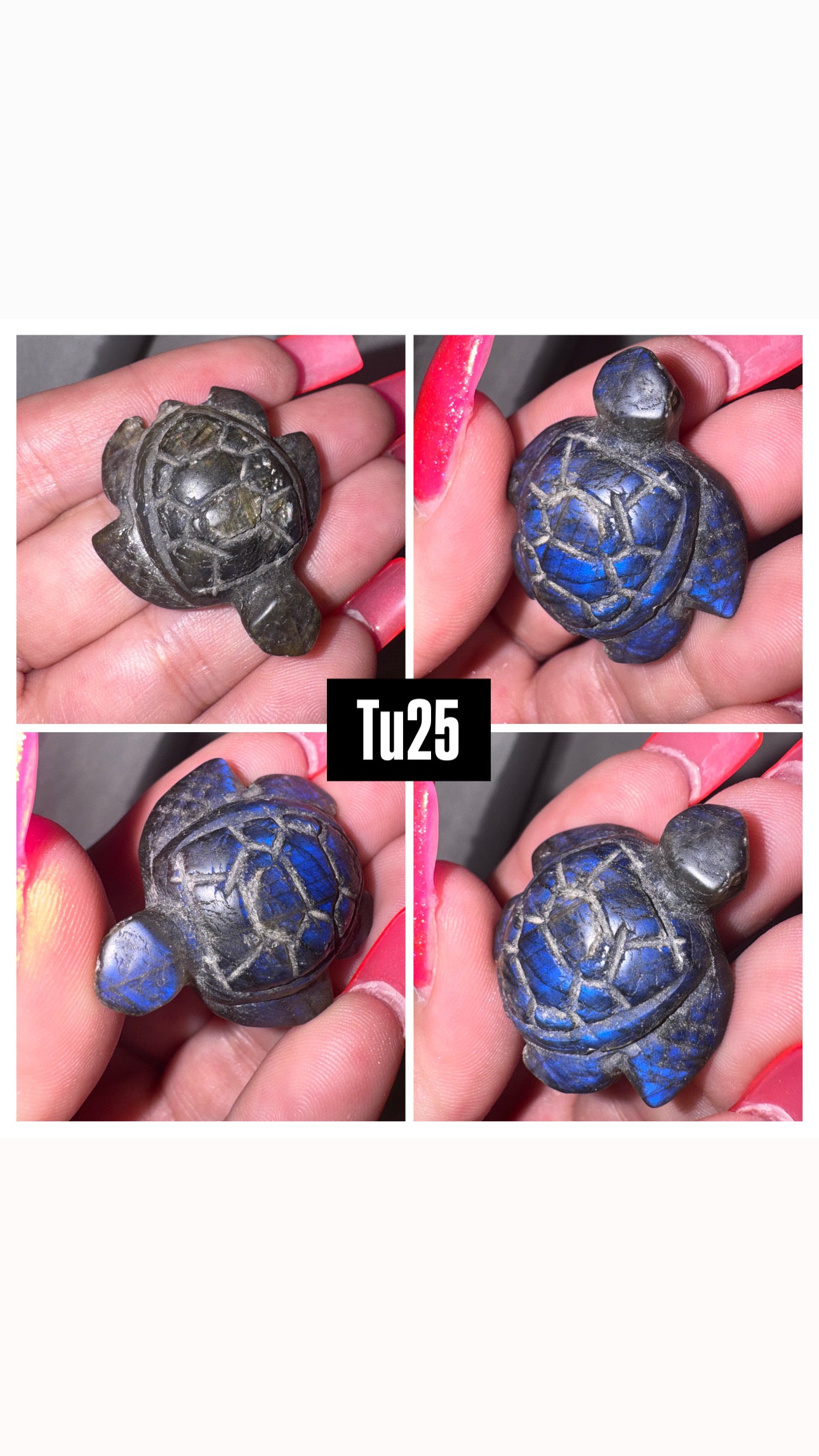Labradorite Sea Turtle