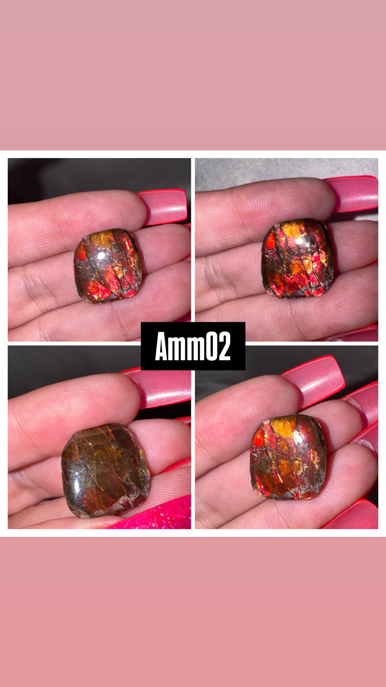 Ammolite Rare