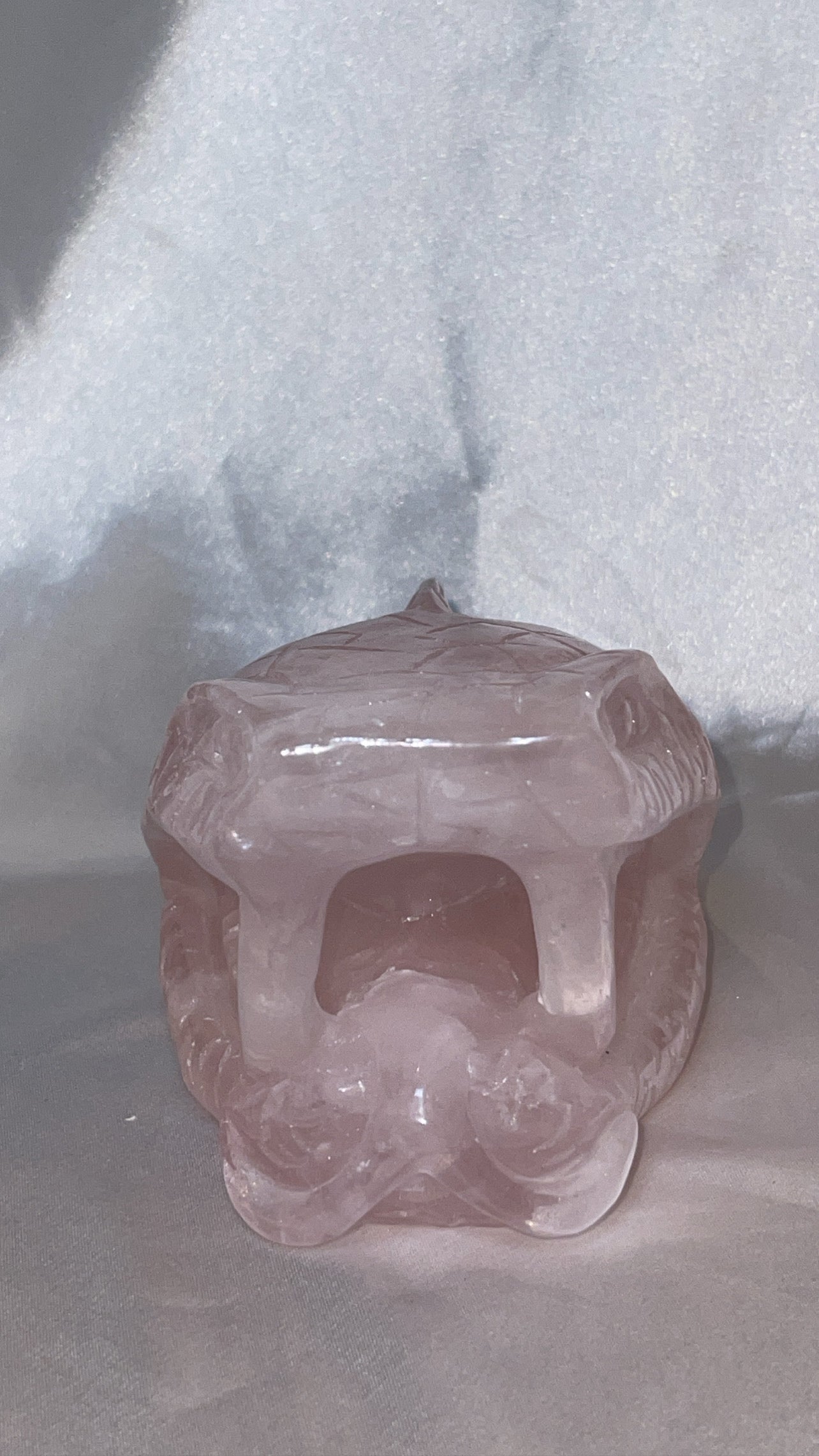 Rose Quartz AAA XXL Snake Head