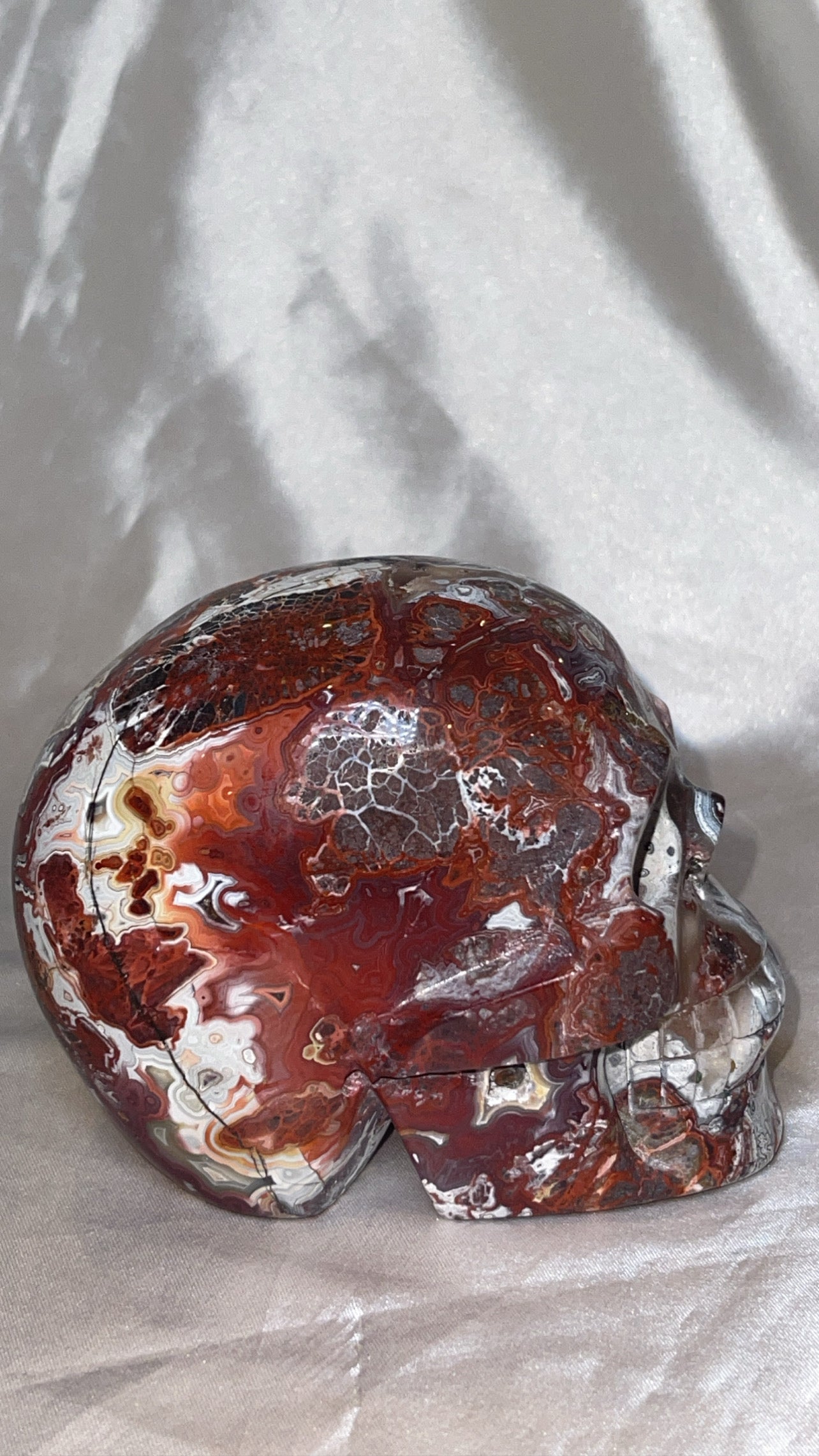 Mexican Crazy Lace Agate Large Skull