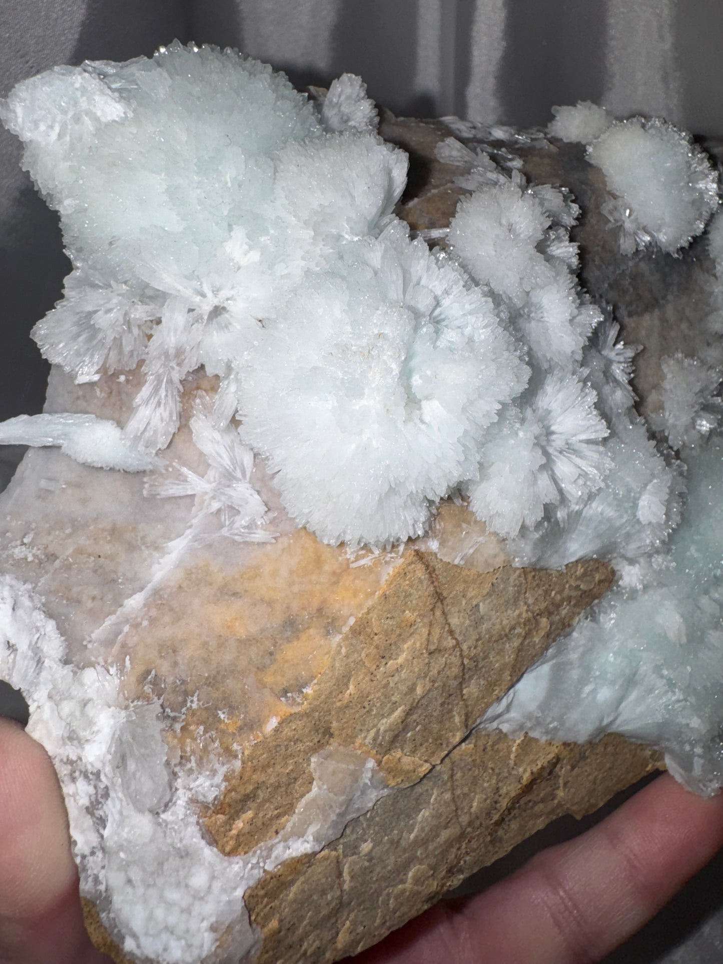 Blue Aragonite AAA XL Specimen on Stand