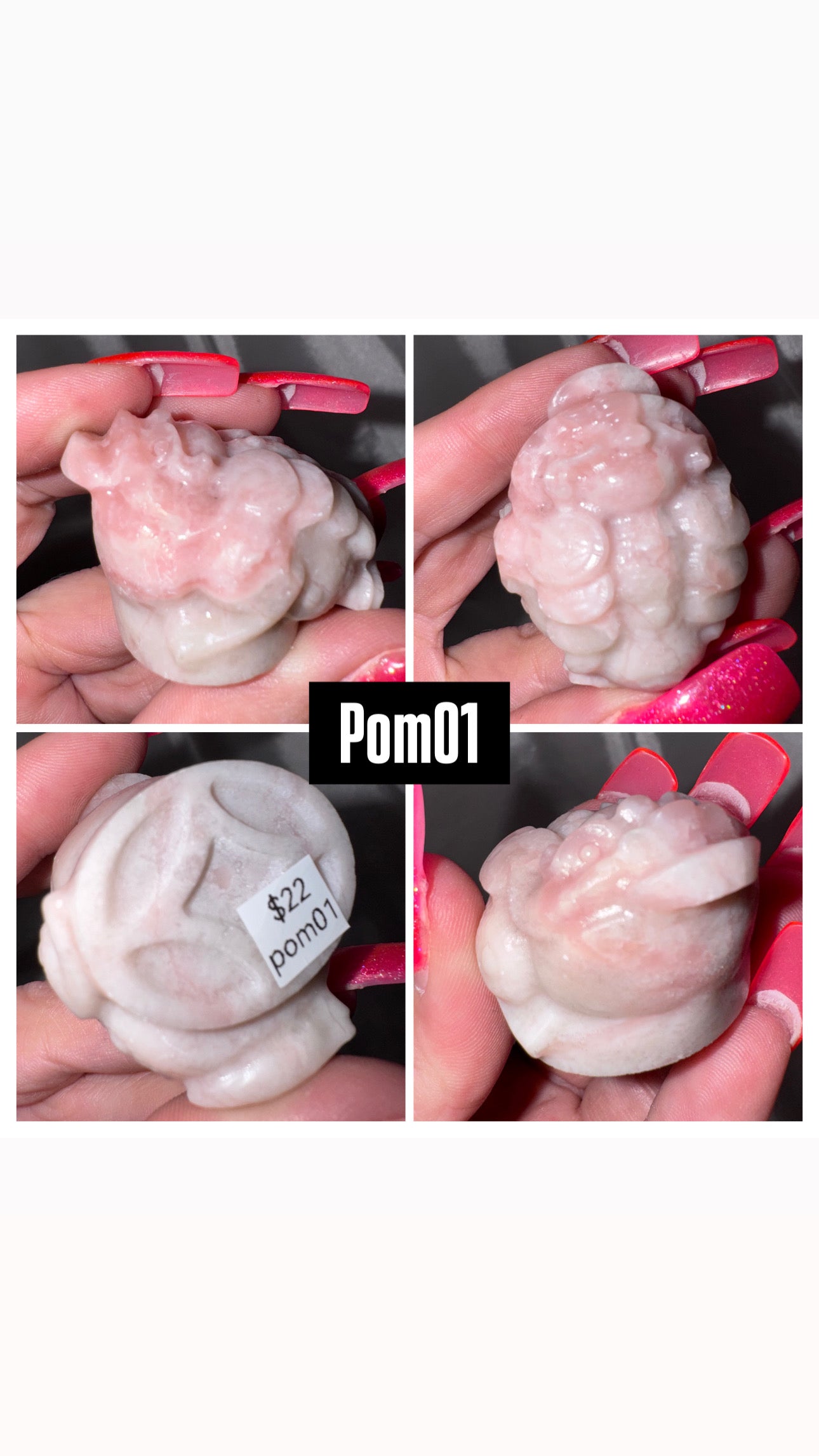 Pink Opal Money Frog