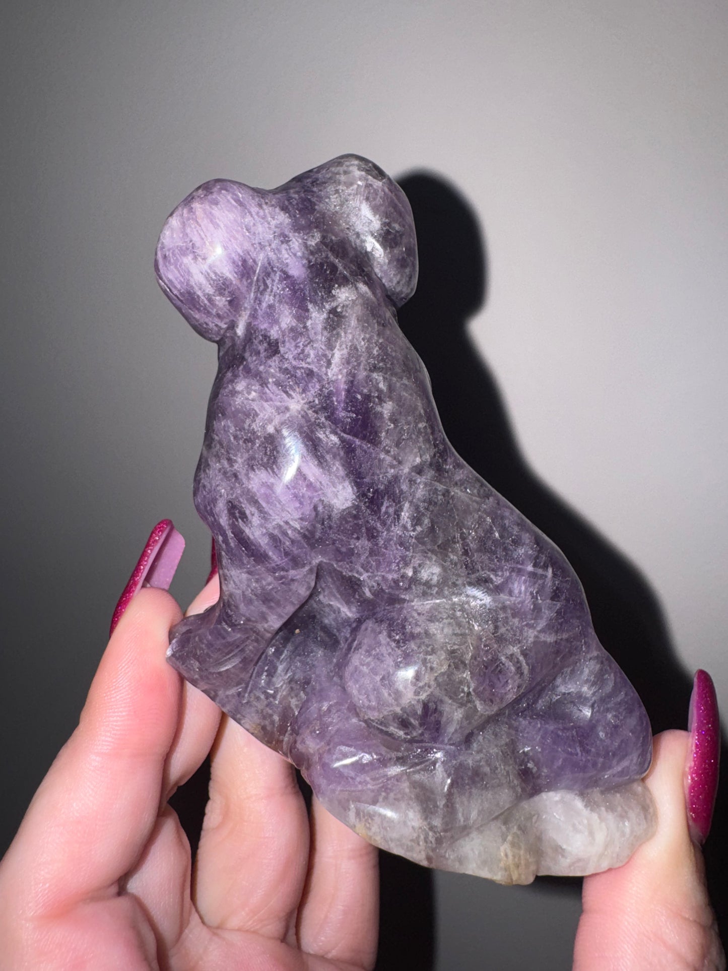 Amethyst Large Dog