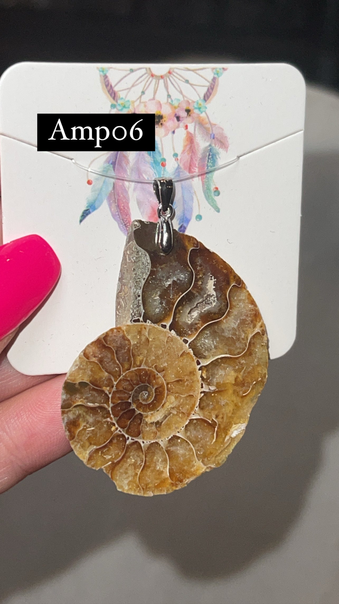 Ammonite Pendant (Choose Your Own)