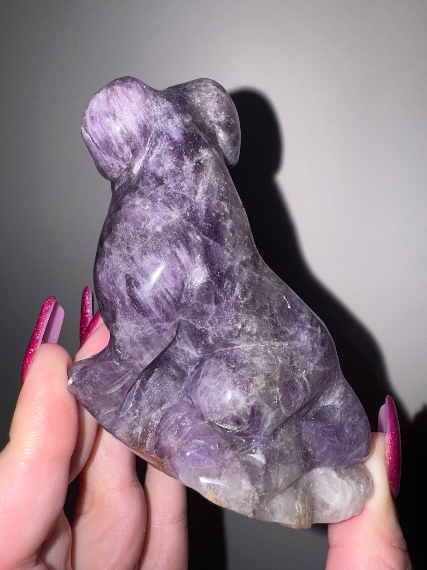 Amethyst Large Dog