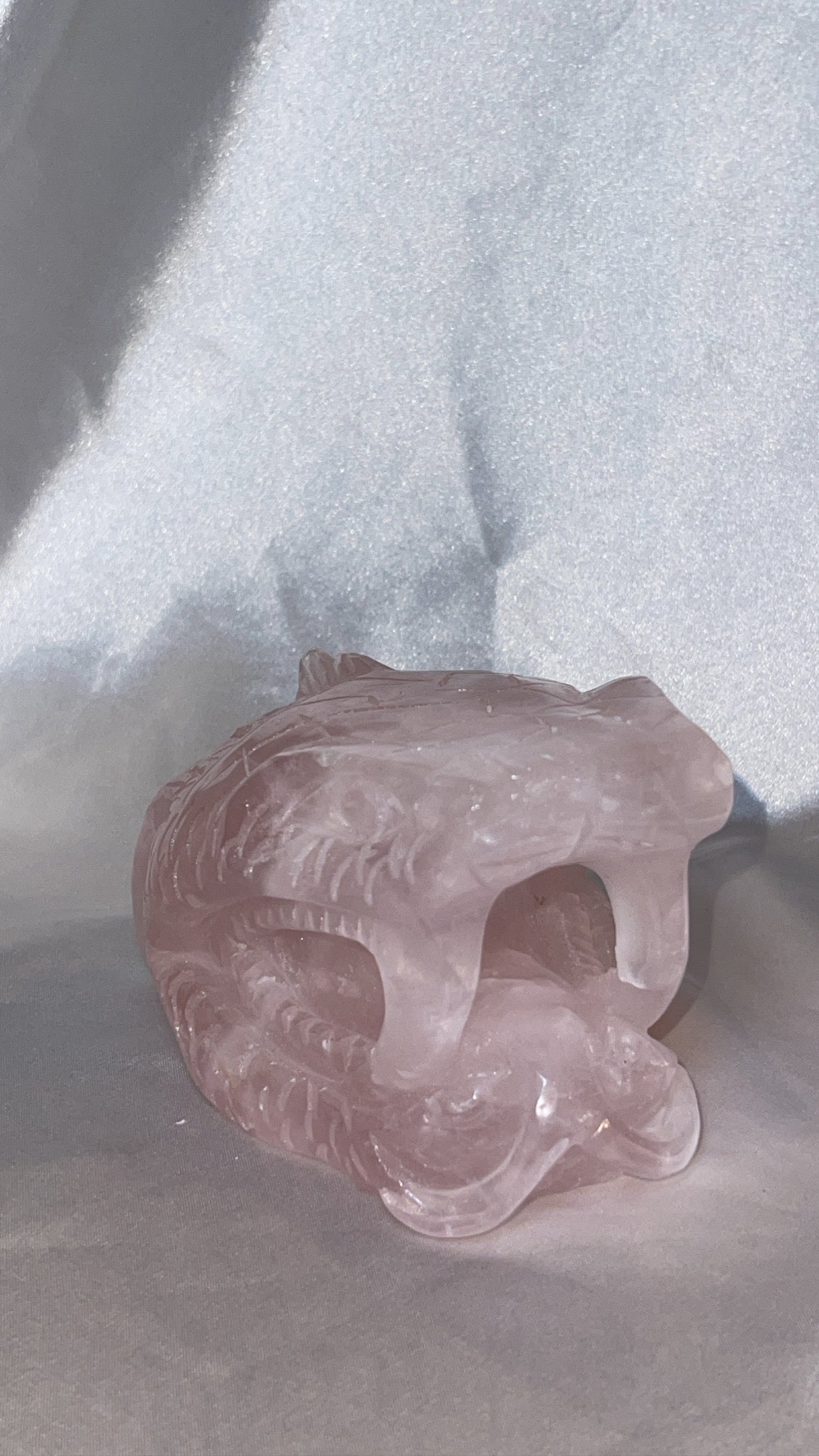 Rose Quartz AAA XXL Snake Head