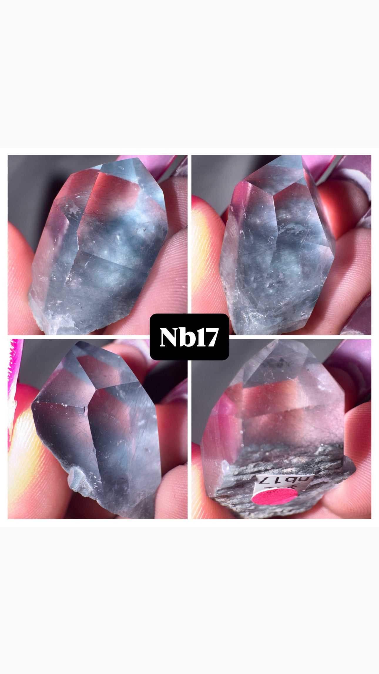 Blue Tara Top Quality Point