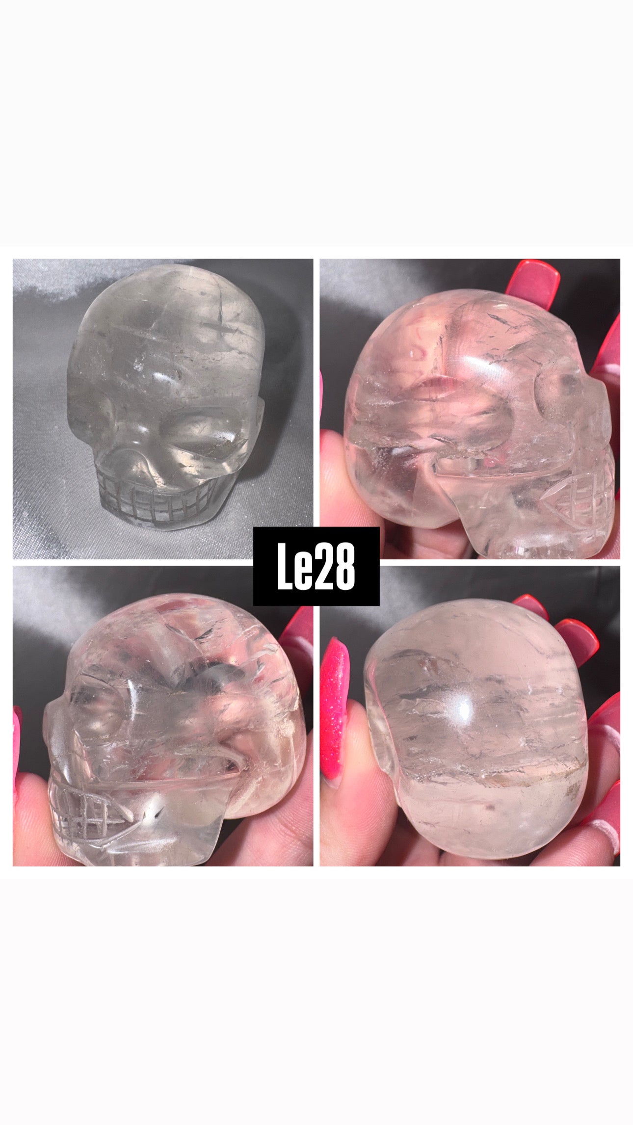 Lemurian Master Carved Skull