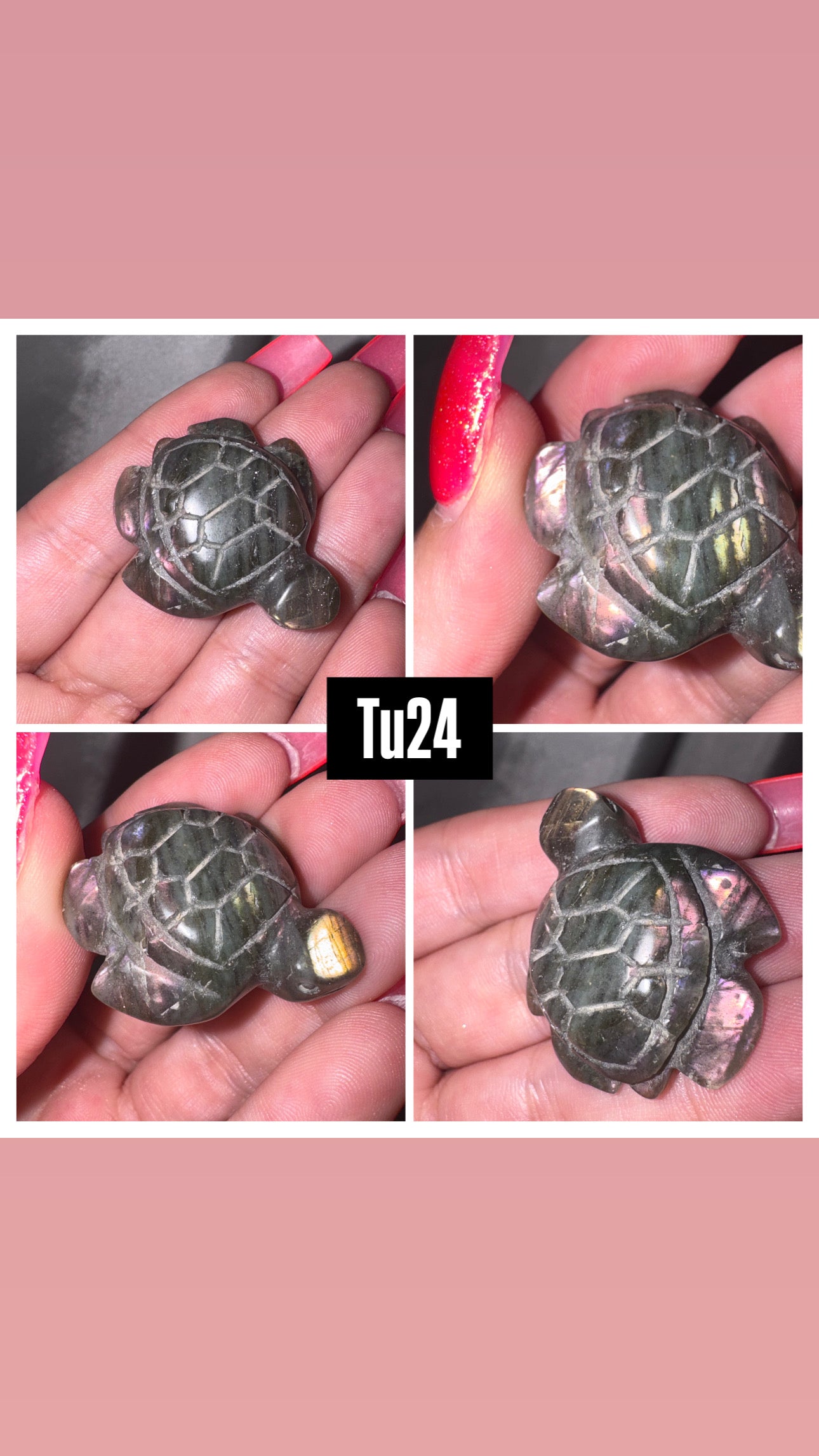 Labradorite Sea Turtle