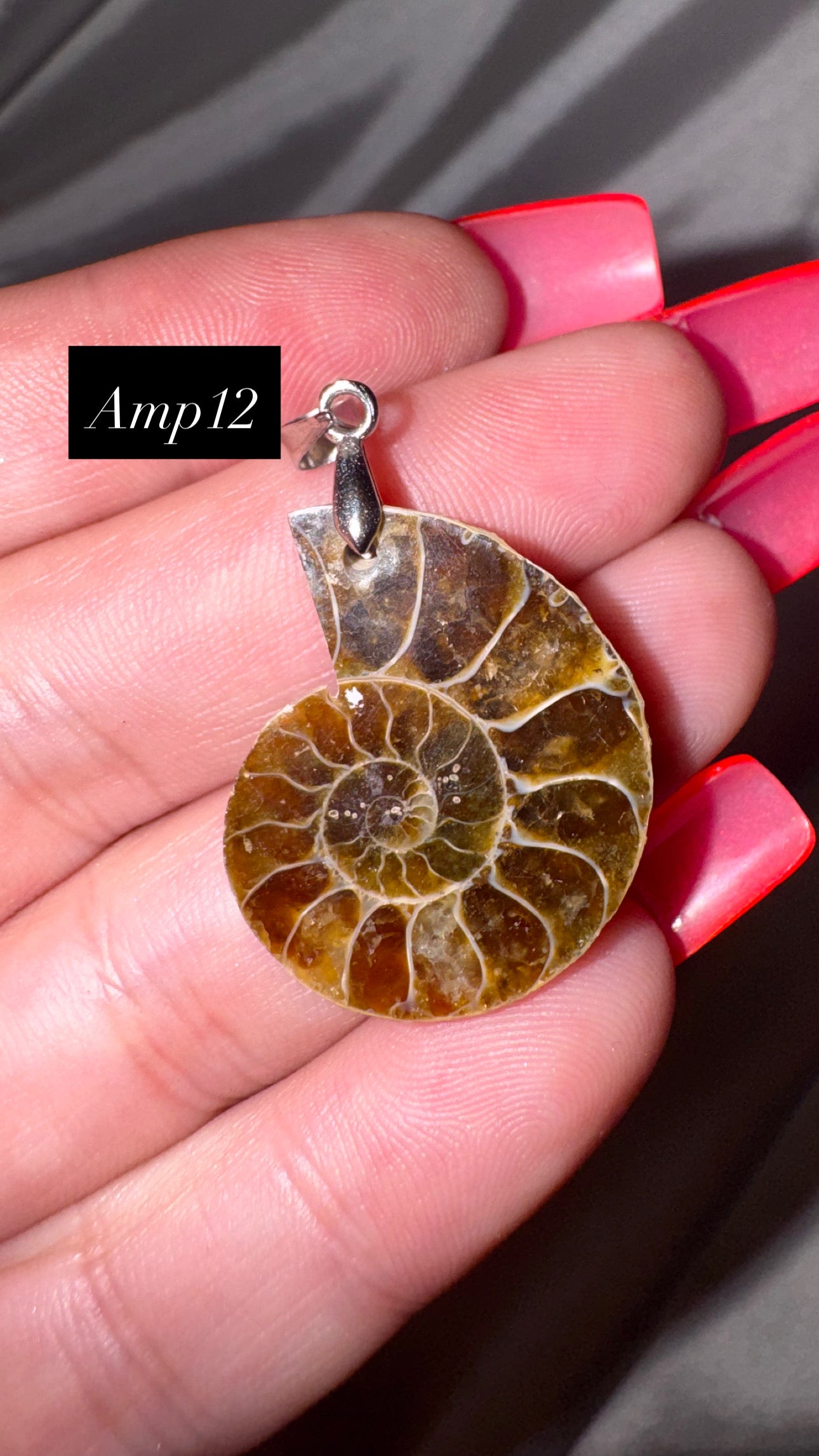 Ammonite Pendant