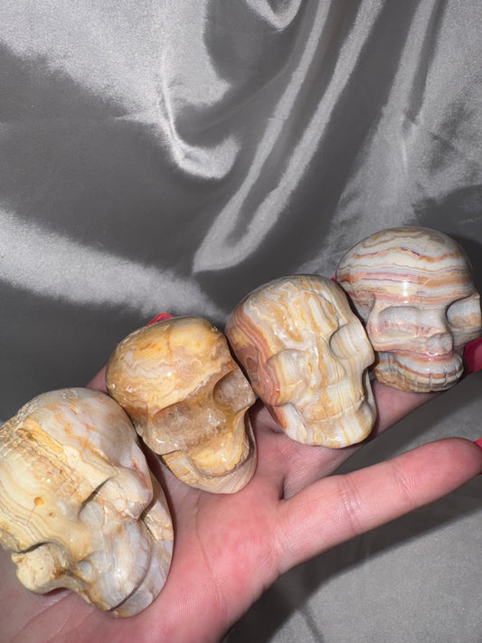 Mexican Crazy Lace Agate Skull