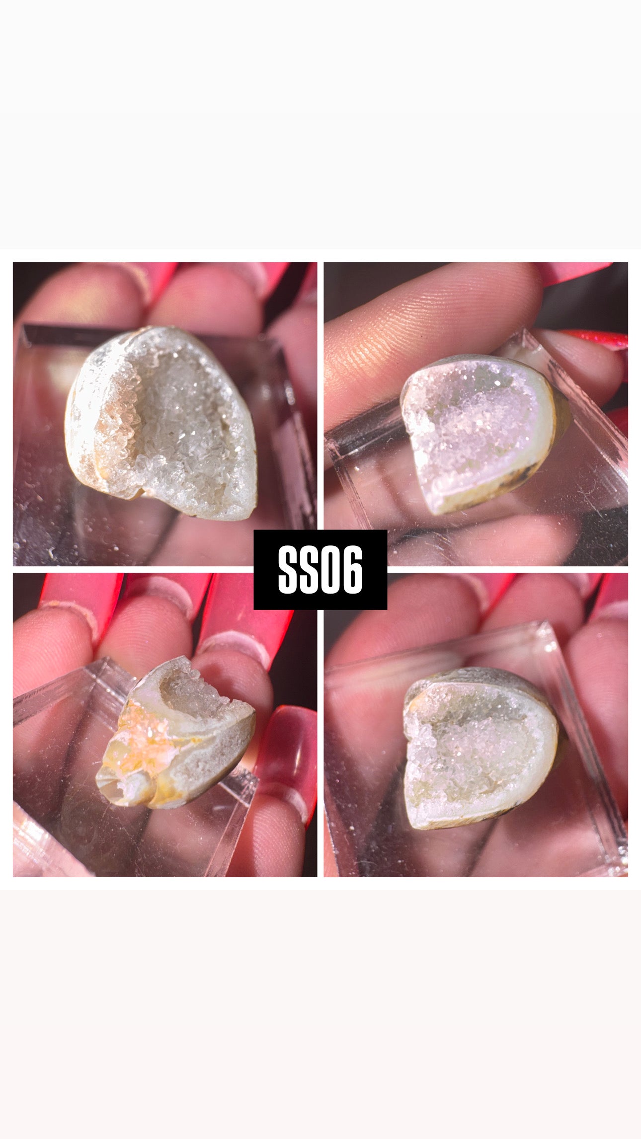 Druzy Fossilized Spiralite Quartz Shell Specimen