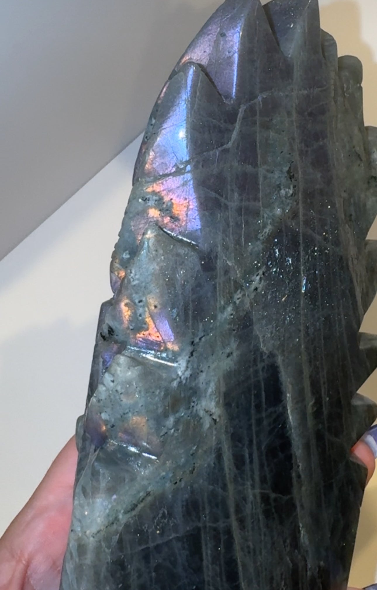 XXL Purple Labradorite Feather Skull