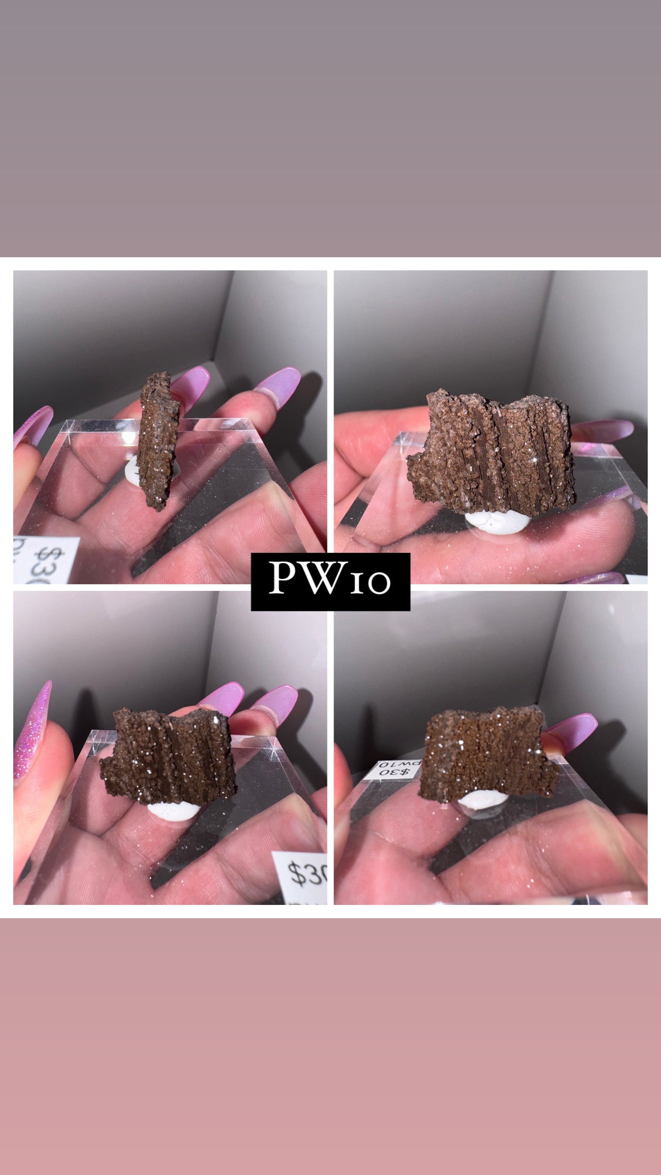 Permineralized Druzy Petrified Wood