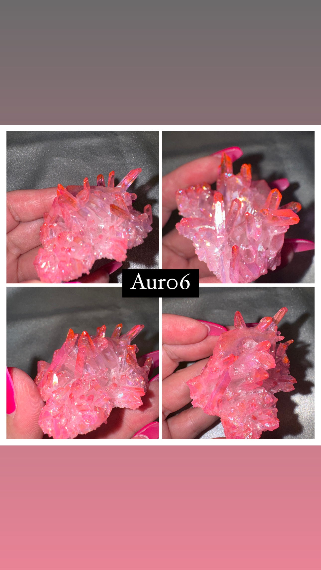 Aura Chrysanthemum Needle Quartz Specimen