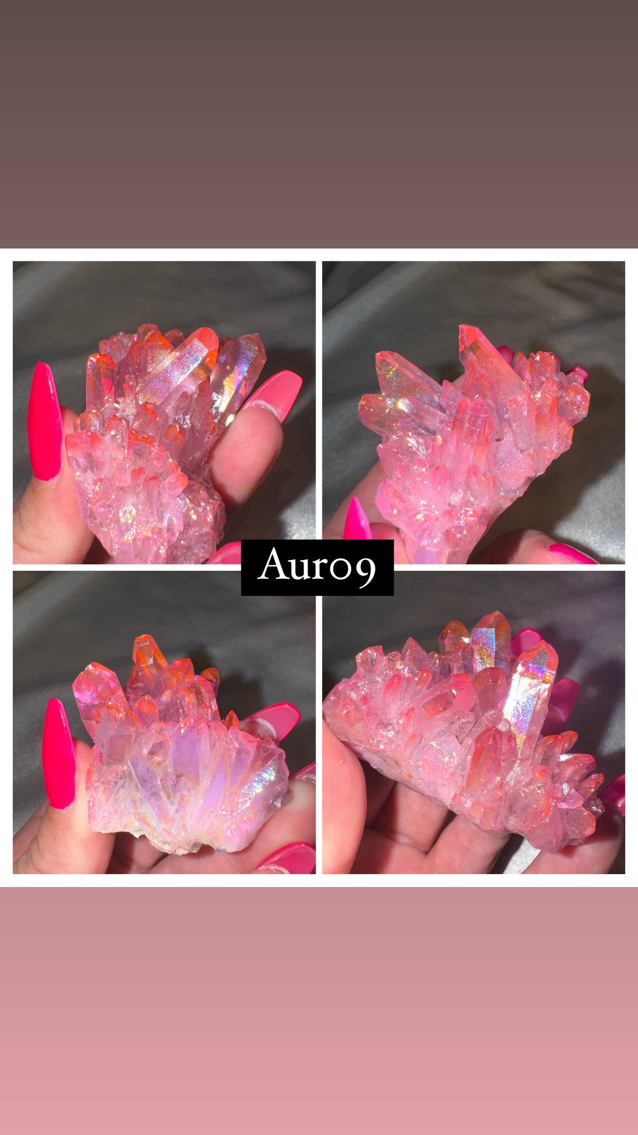 Aura Chrysanthemum Needle Quartz Specimen